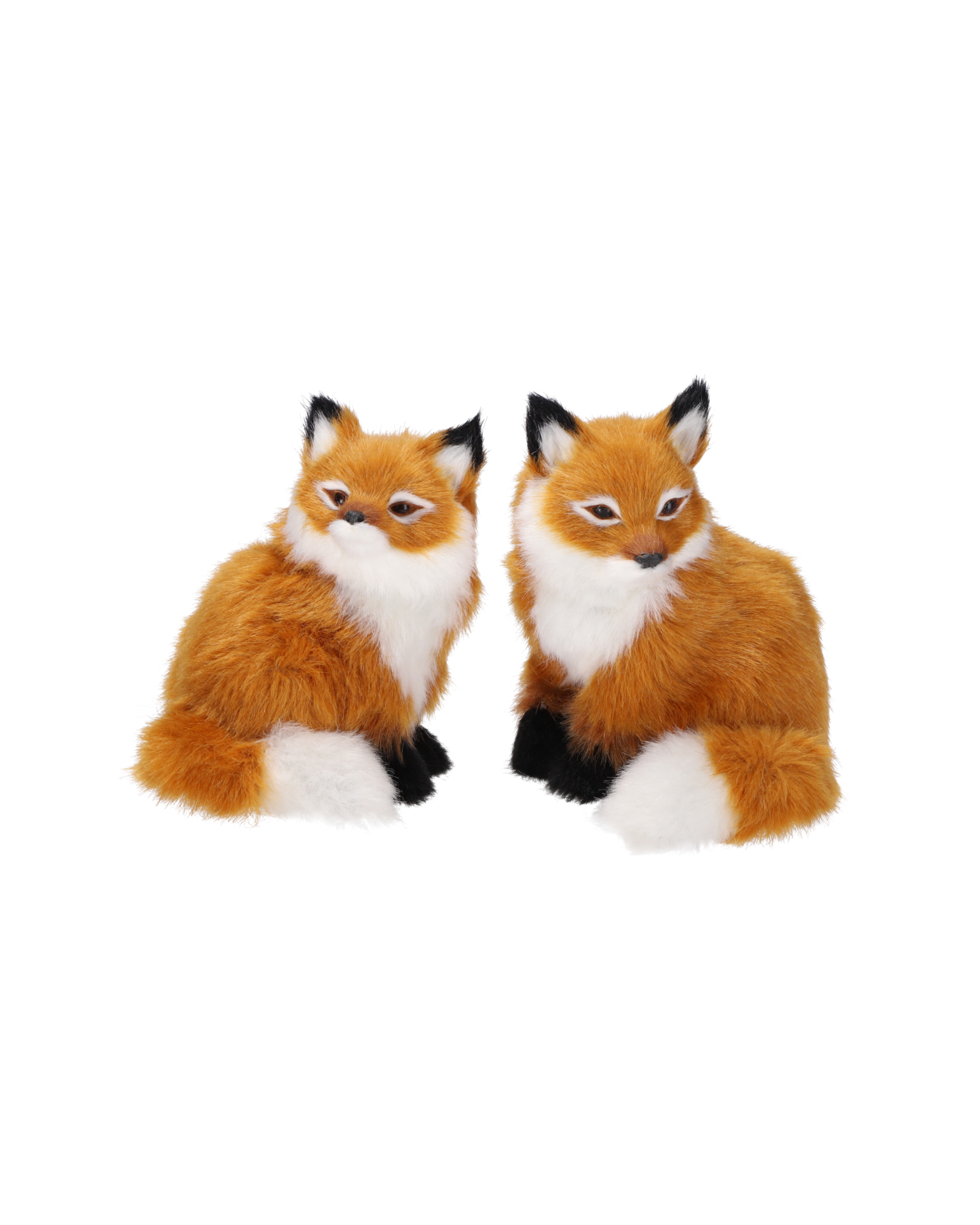 Fox Duo