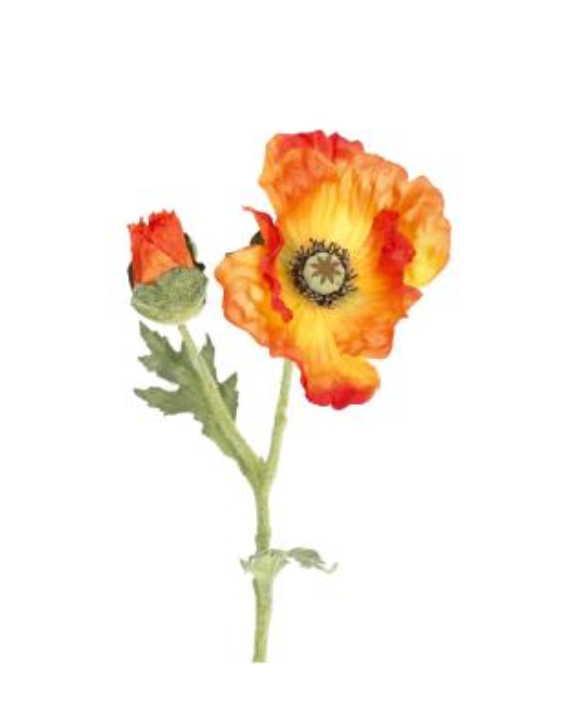 Mohnblume Realtouch – 3er Set Orange