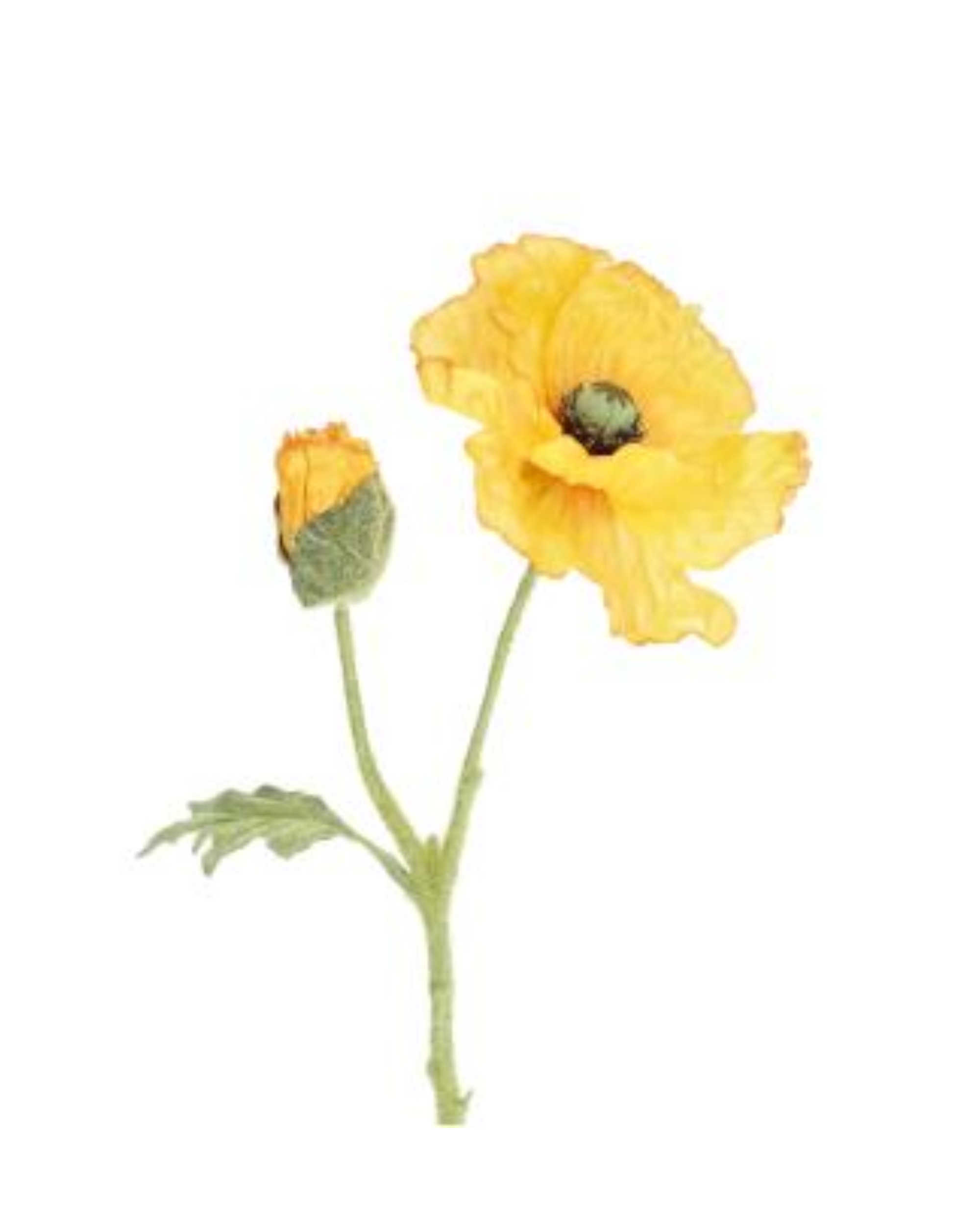 Mohnblume Realtouch – 3er Set Gelb
