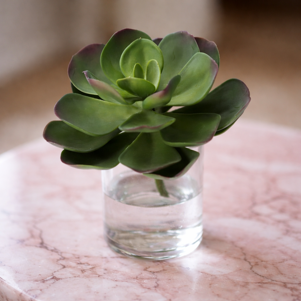 Succulent XL Realtouch