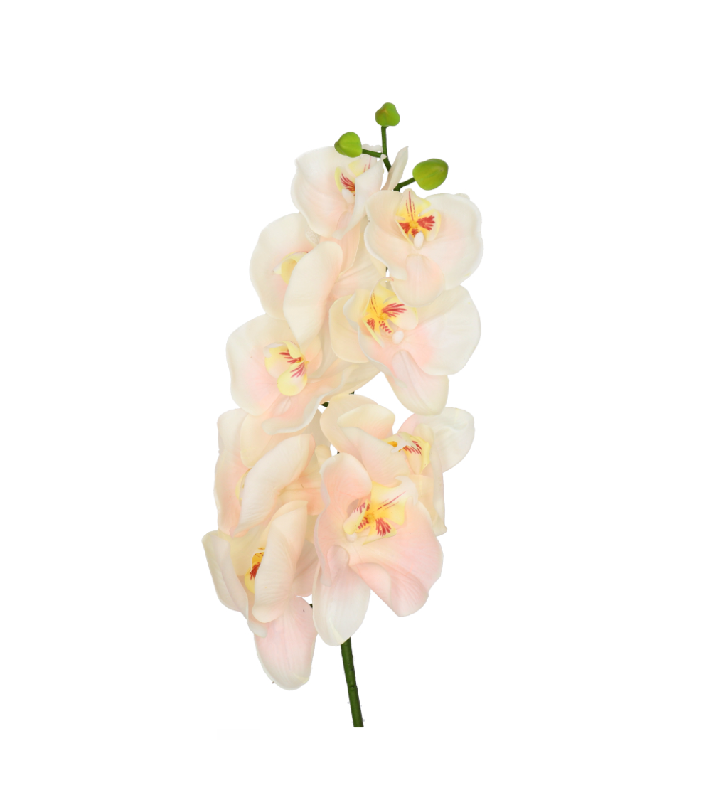 Orchidee Phalenopsis Realtouch Rosa/Creme XL