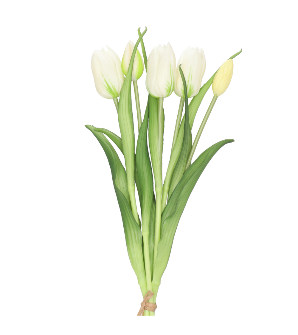 Tulpen Realtuch Weiß (5 Blüten) Long Stem
