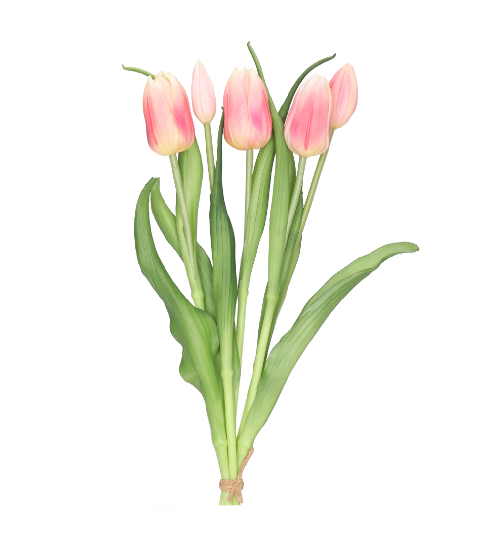 Tulpen Realtouch Rosé ( 5 Blüten) Long Stem