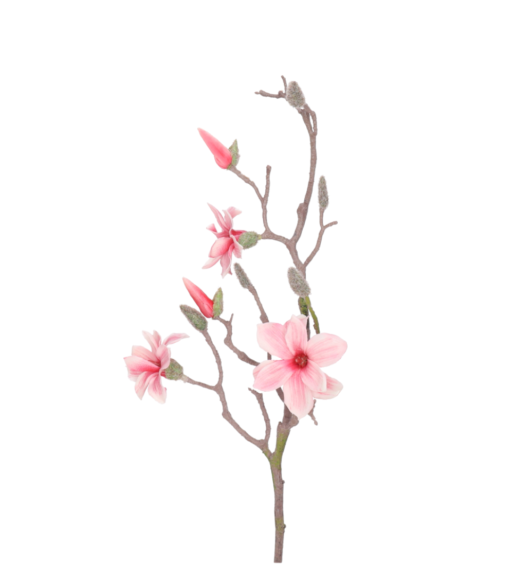 Magnolienzweig Realtouch Rosé