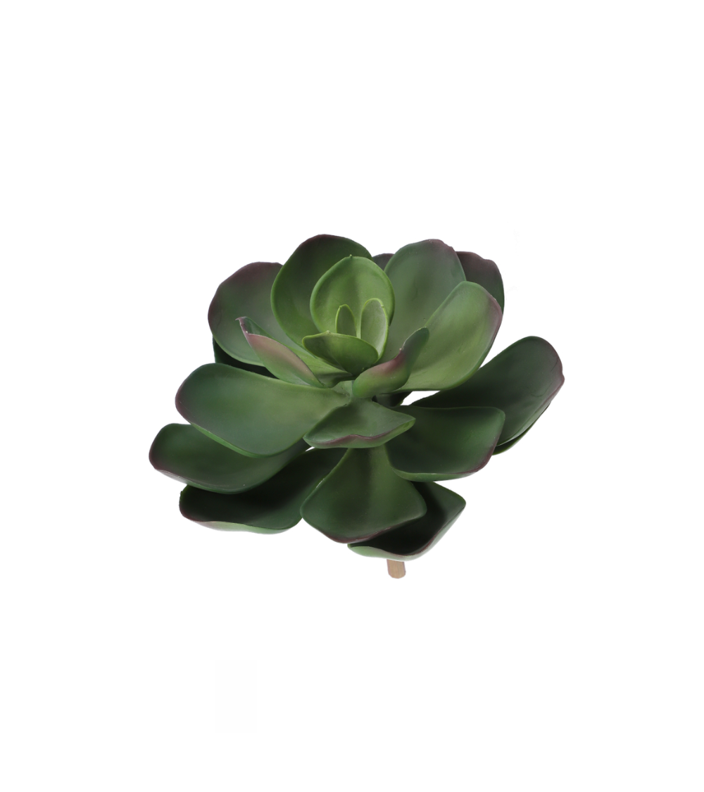 Succulent XL Realtouch
