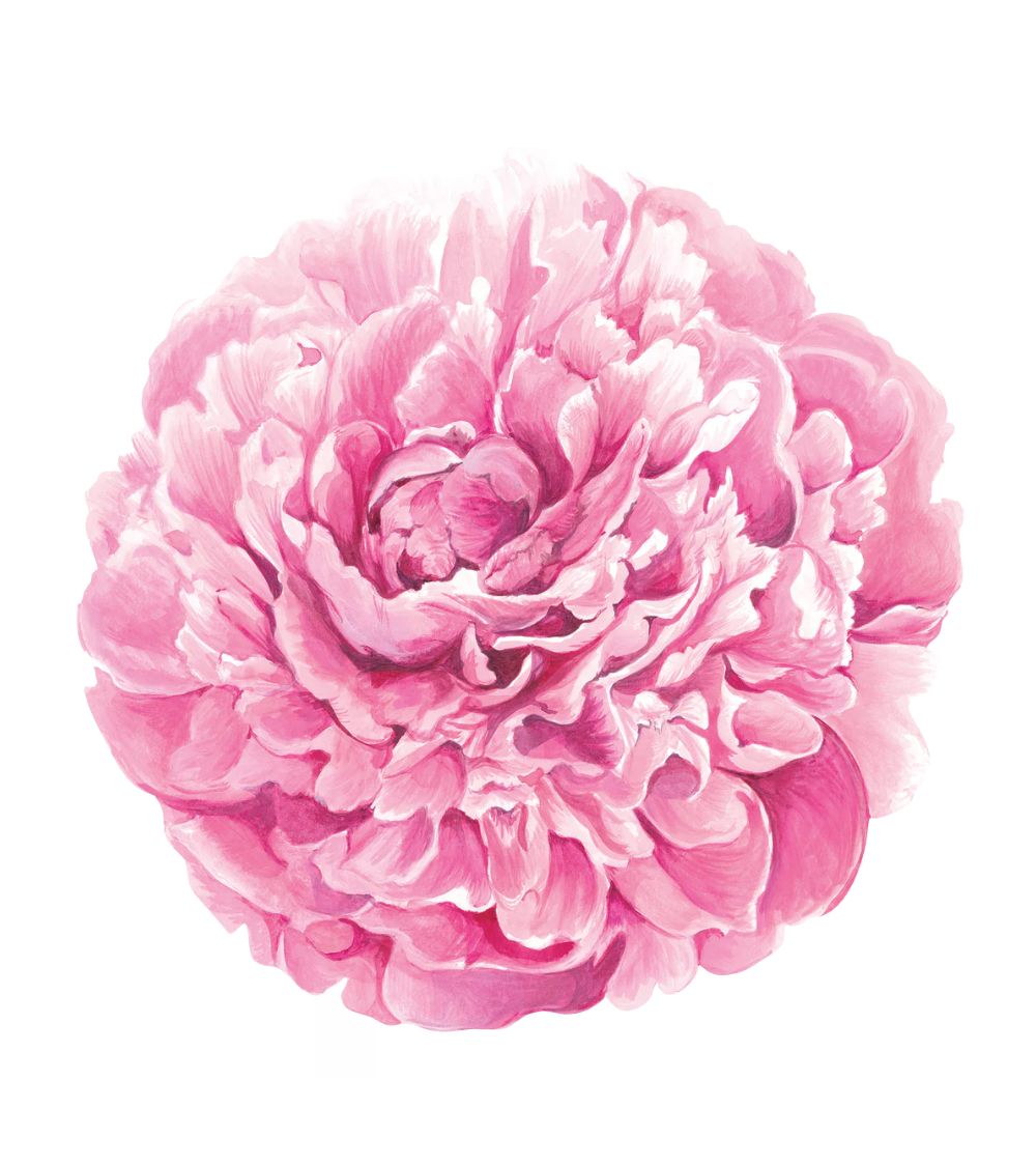 Papier Tischset Pfingstrose