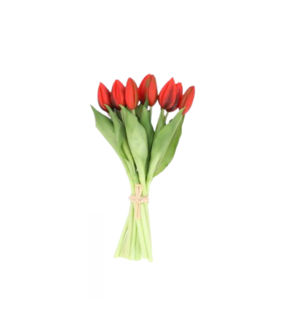 Tulpen Realtouch Rot (9 Blüten) Short Stem