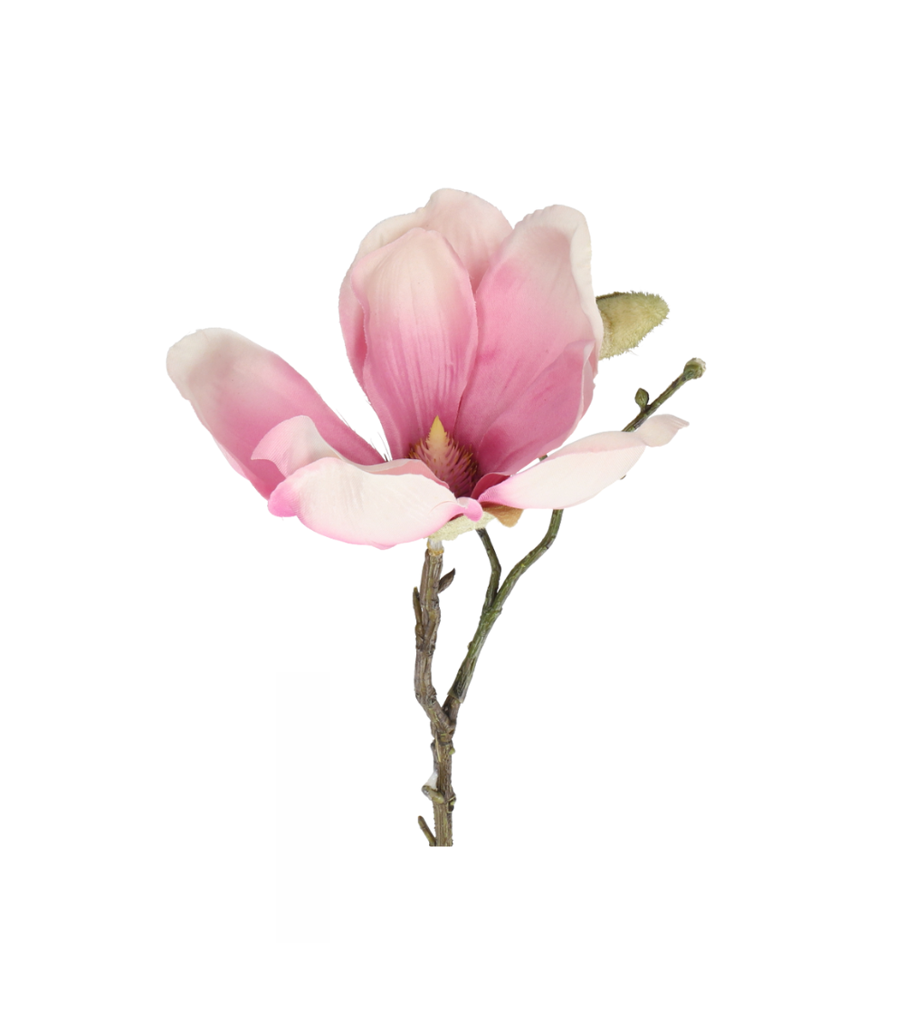 Magnolie Realtouch Rosa
