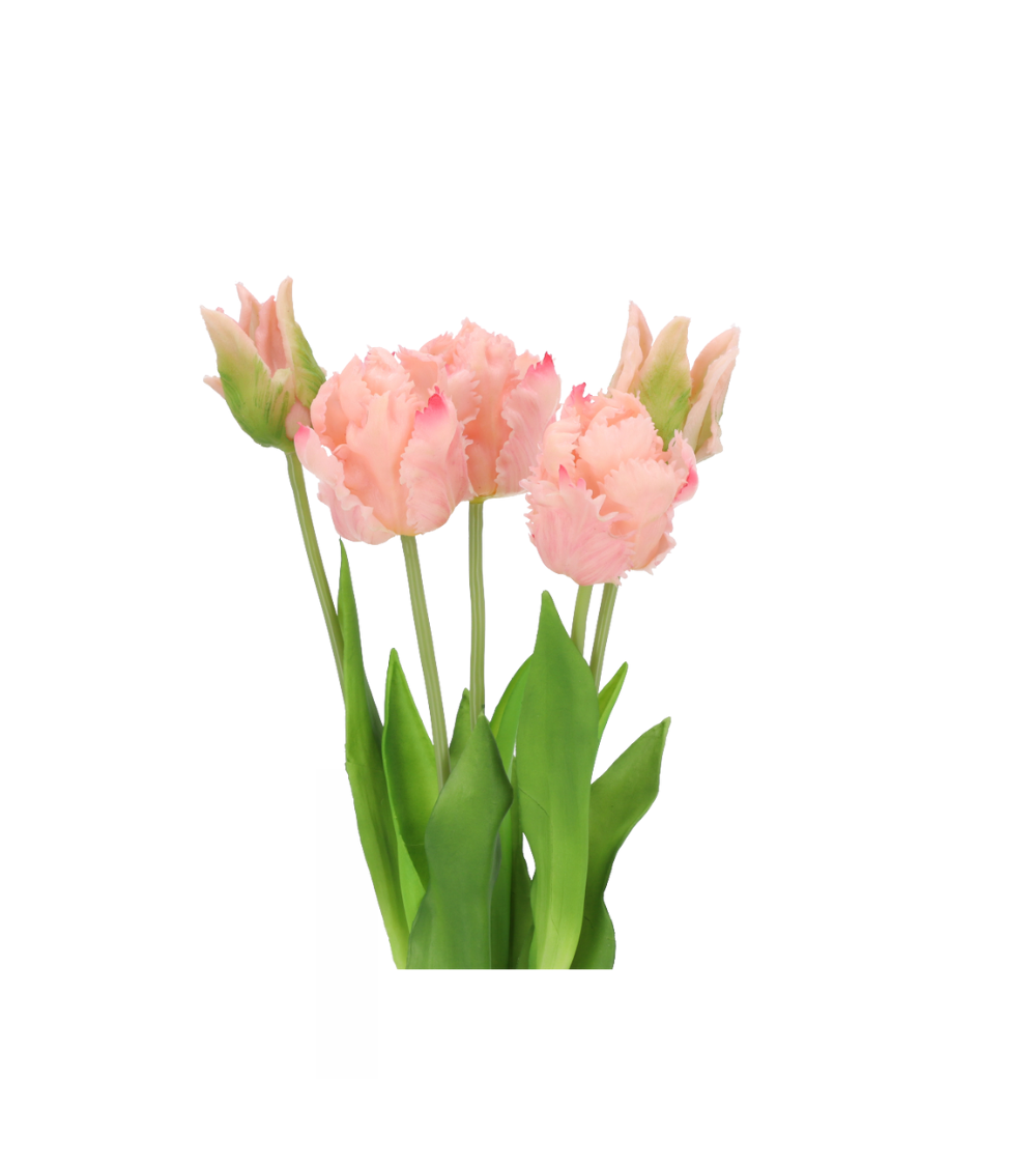 Papageien Tulpe Realtouch Rosa