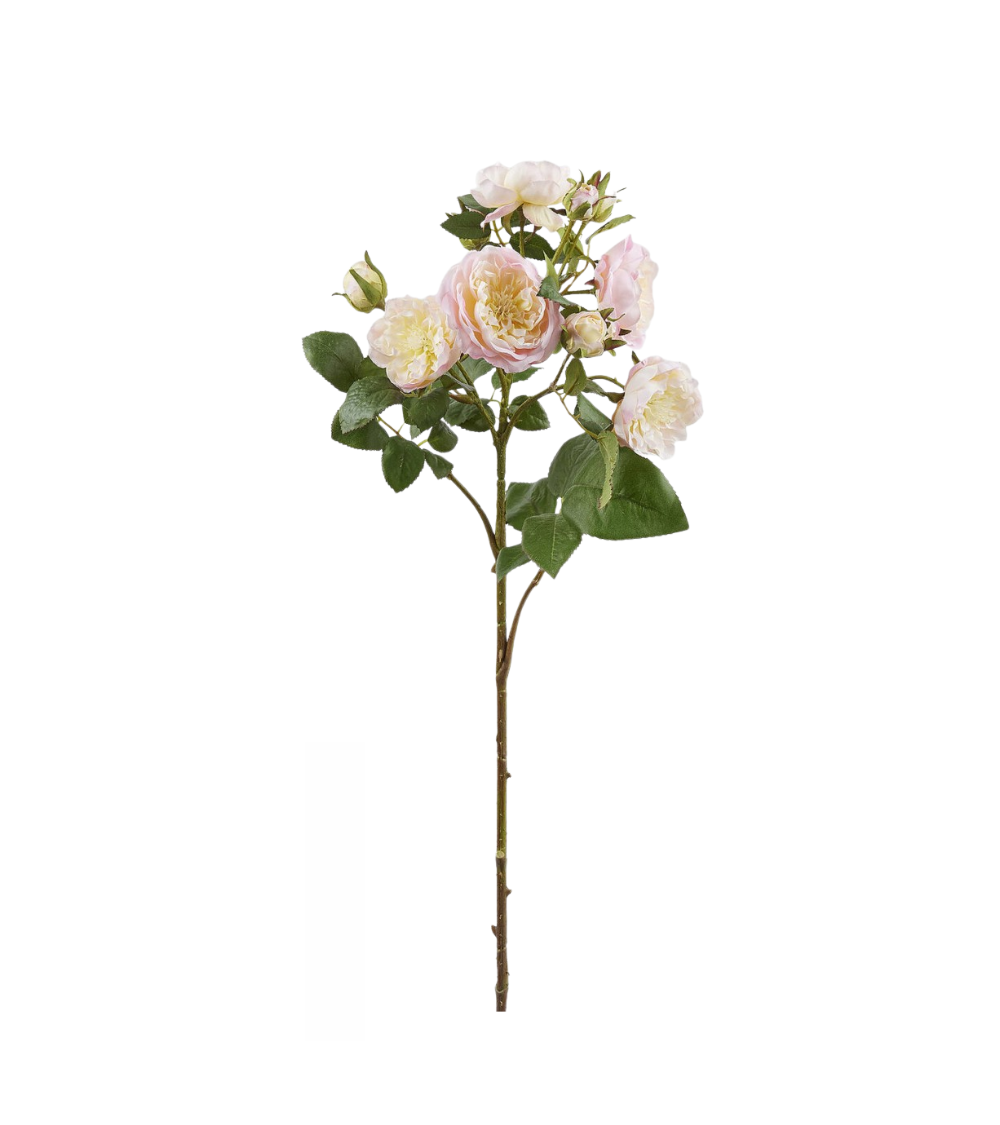 Rosenzweig „French Rose“ mit Knospe – 76 cm