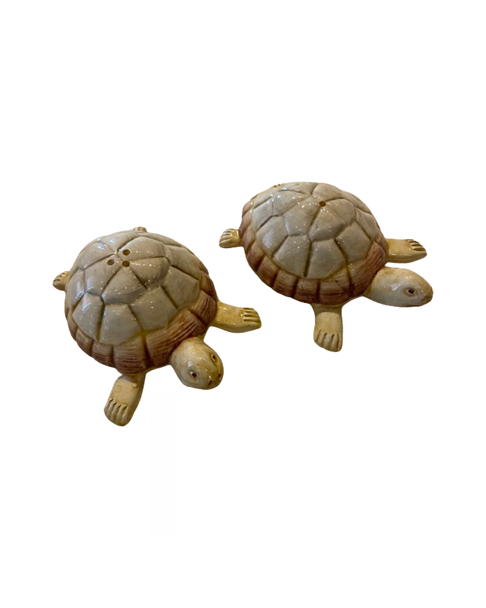 Handbemaltes Salz-und Pfefferset Keramik Schildkröte