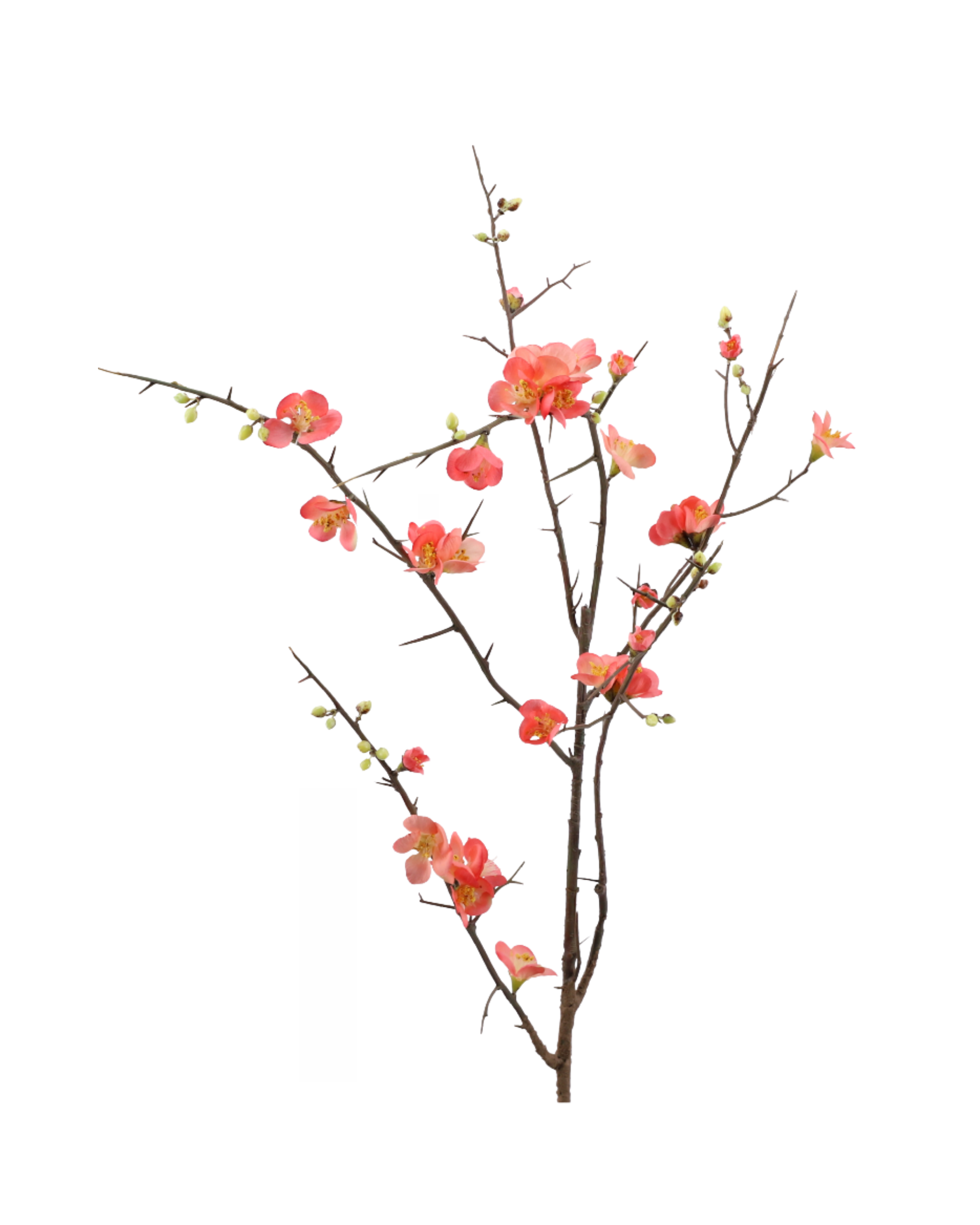 Kirschzweig Realtouch Pfirsich