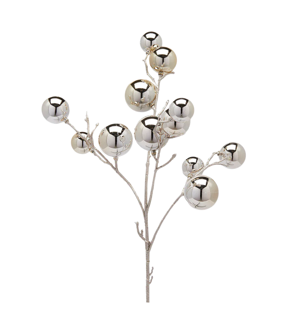 Silver Bulb Branch