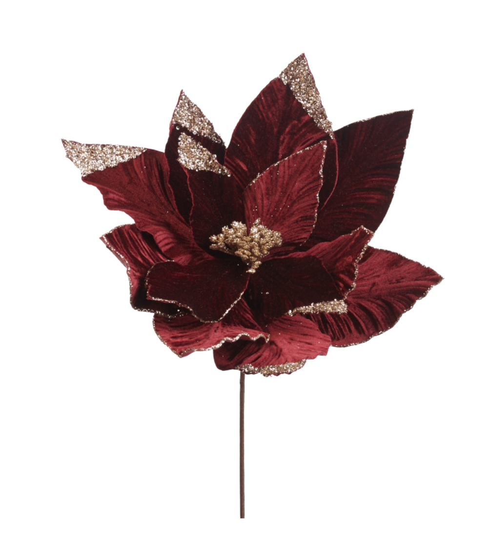 Christstern Velvet mit Gold