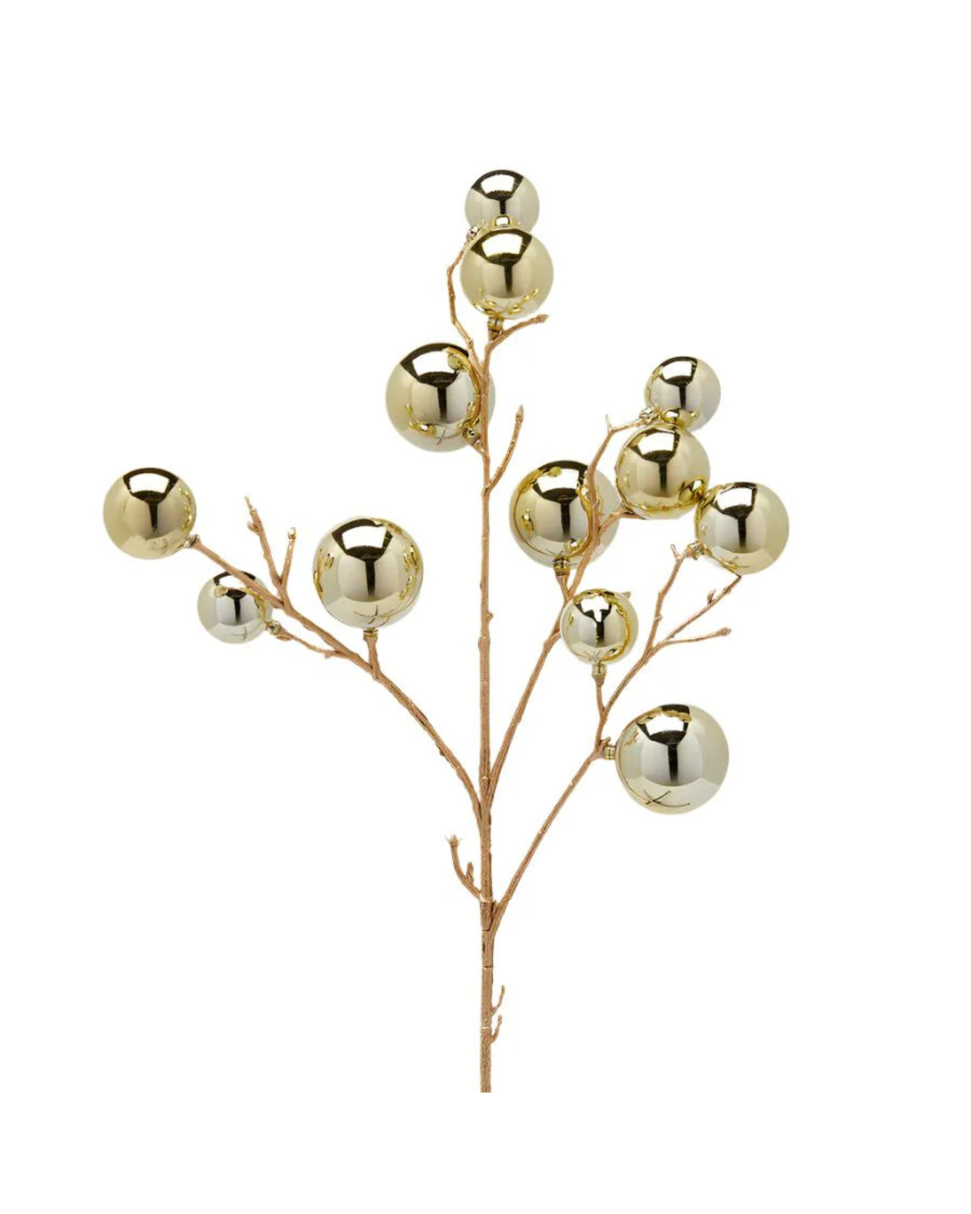 Golden Bulb Branch