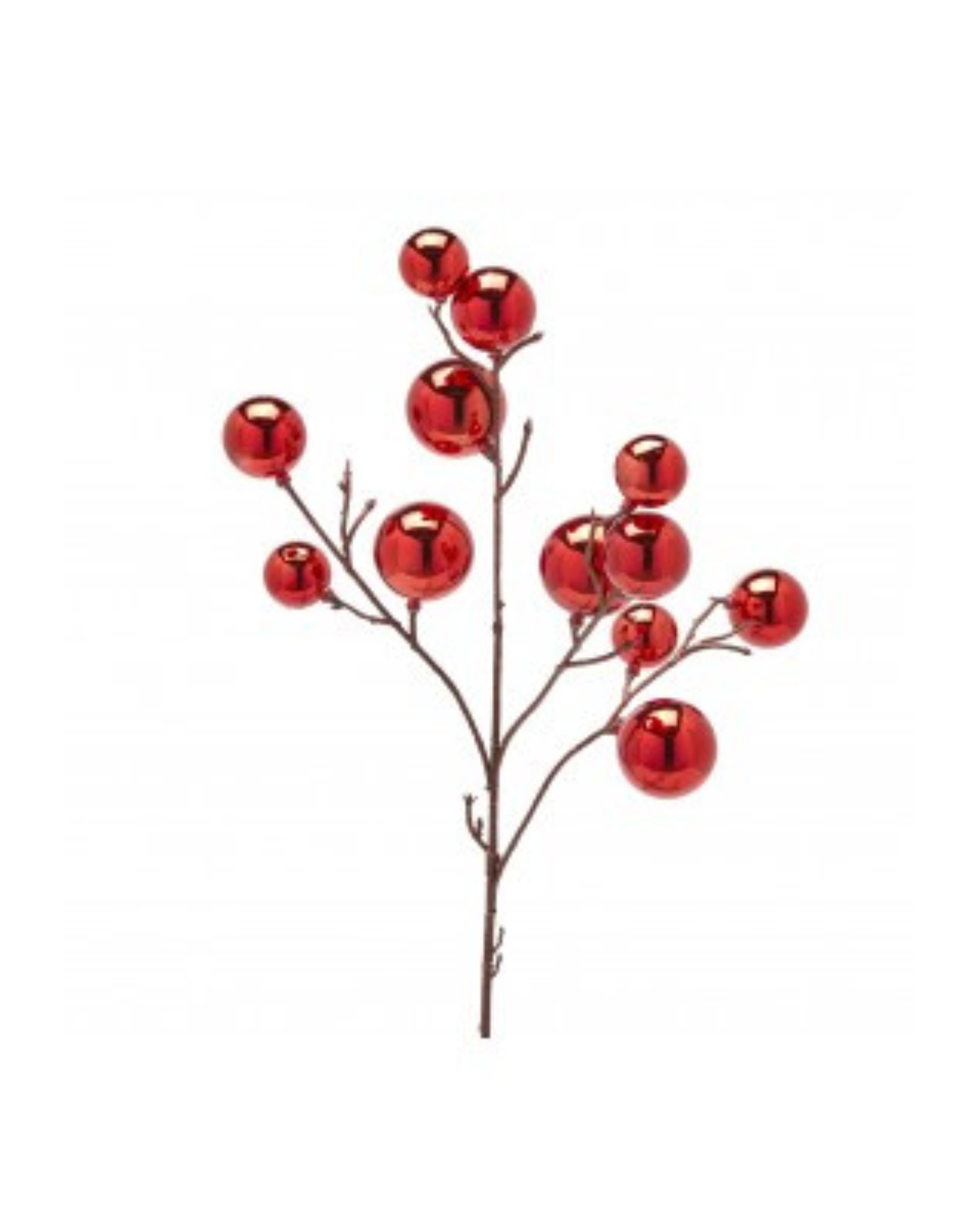 Red Bulb Branch