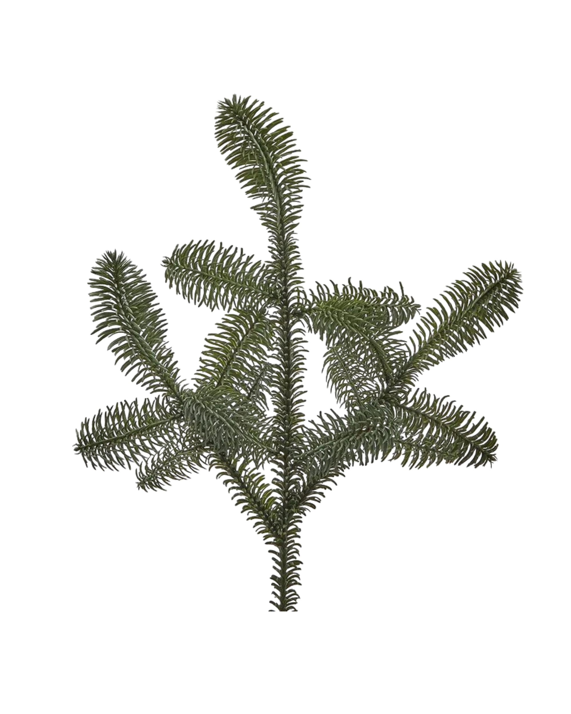 Tannenzweig Realtouch Large