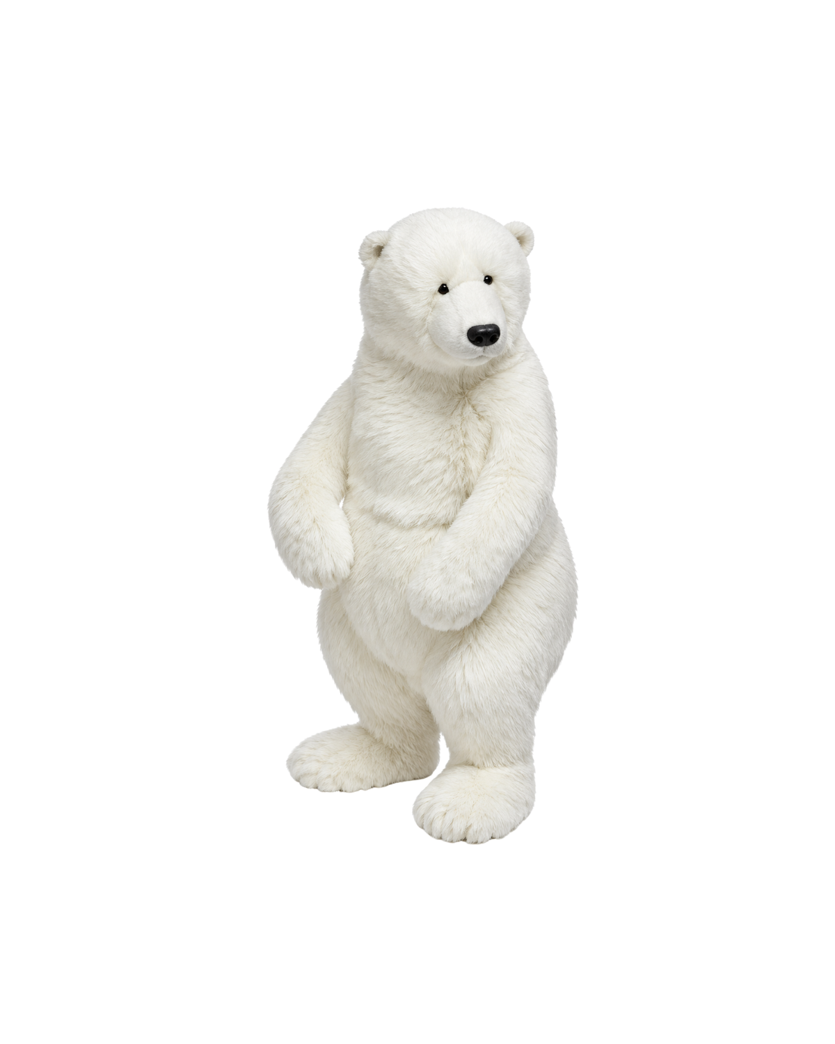 Eisbär Stehend