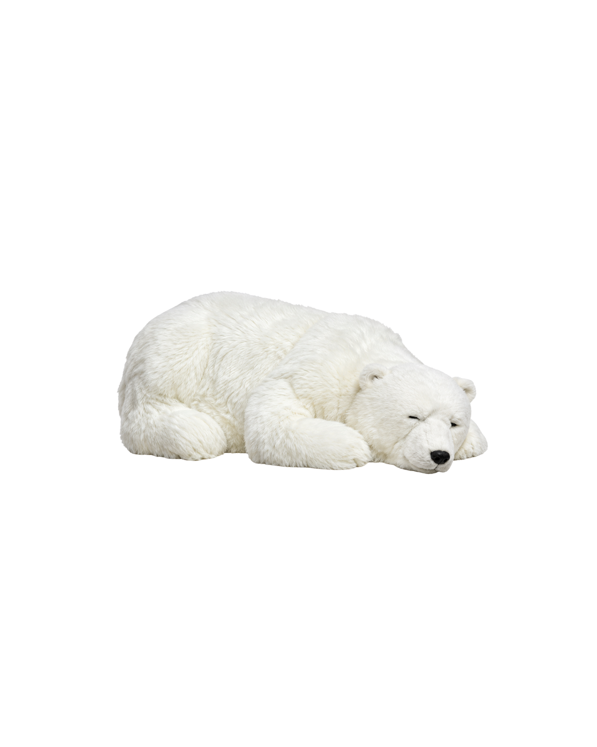 Polar bear "Lying down"