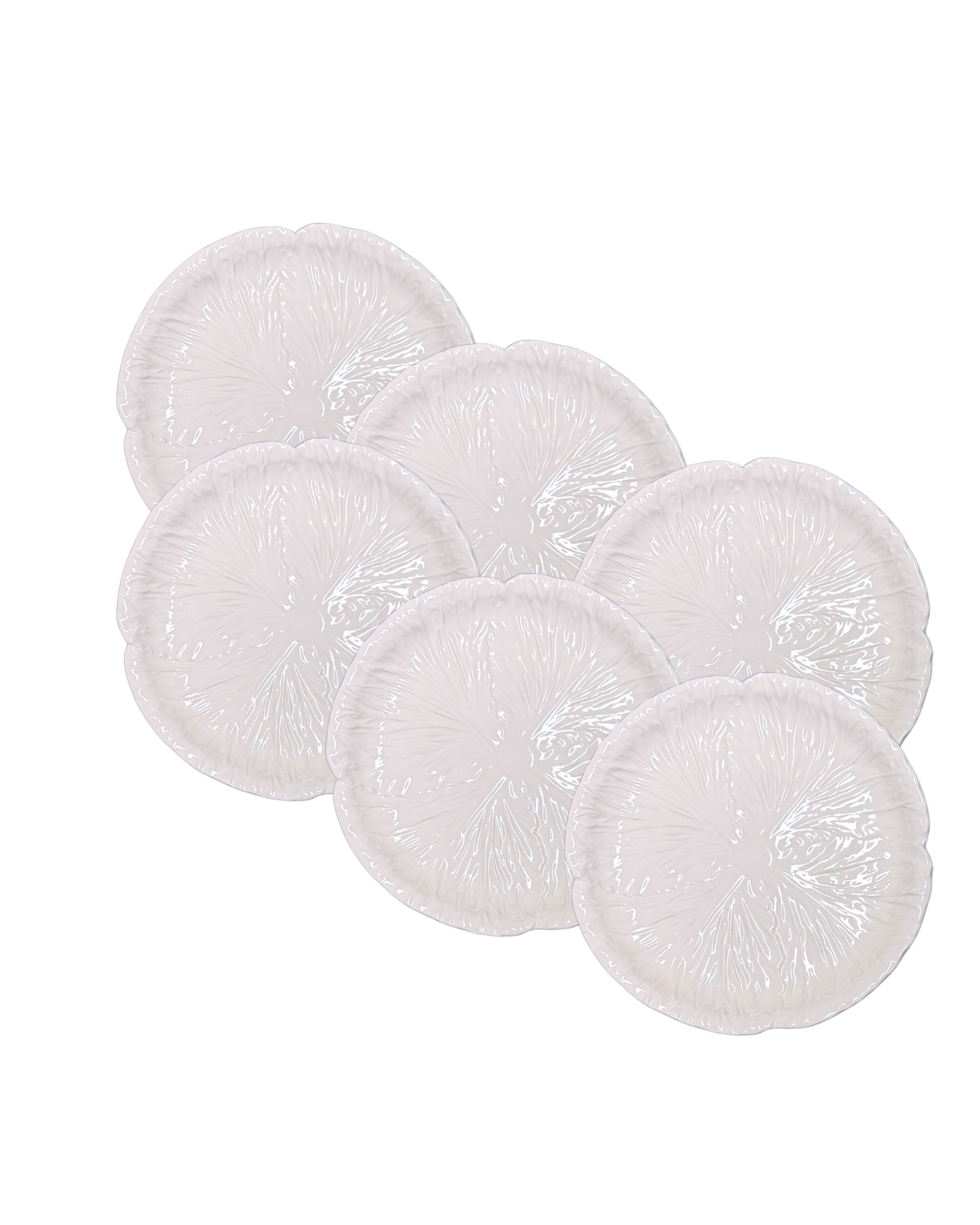 Radicchio Ceramic Salad Plate White (Set of 6)