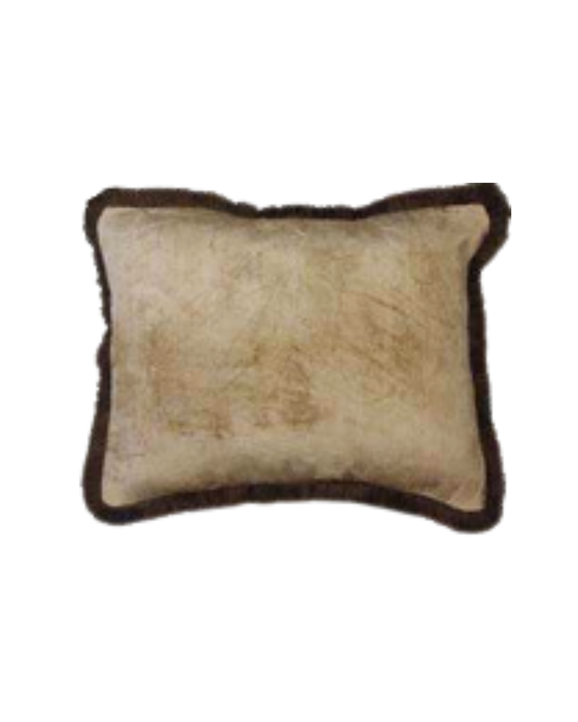 Velvet Champagne Cushion