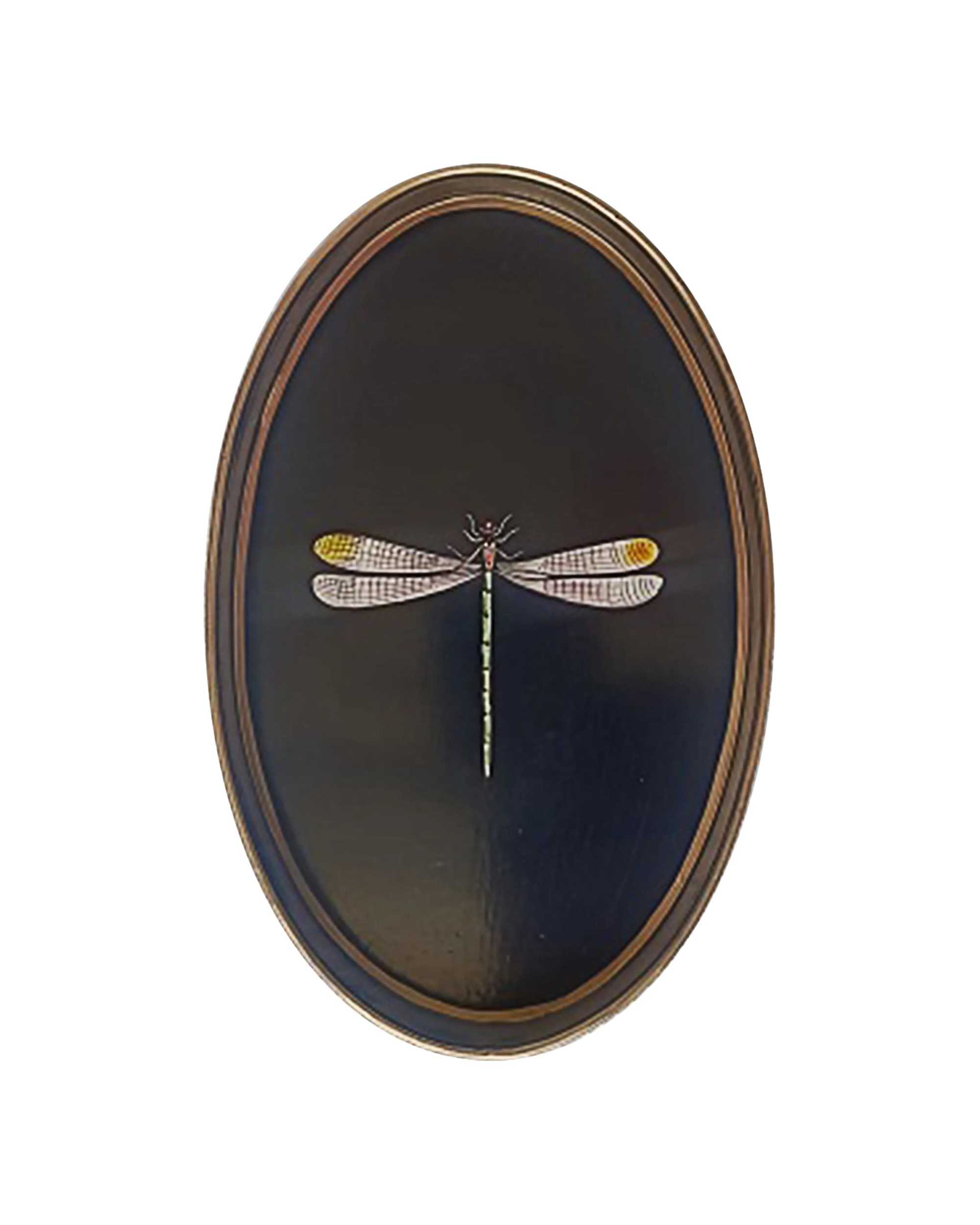 Dragonfly Iron Tray Handpainted