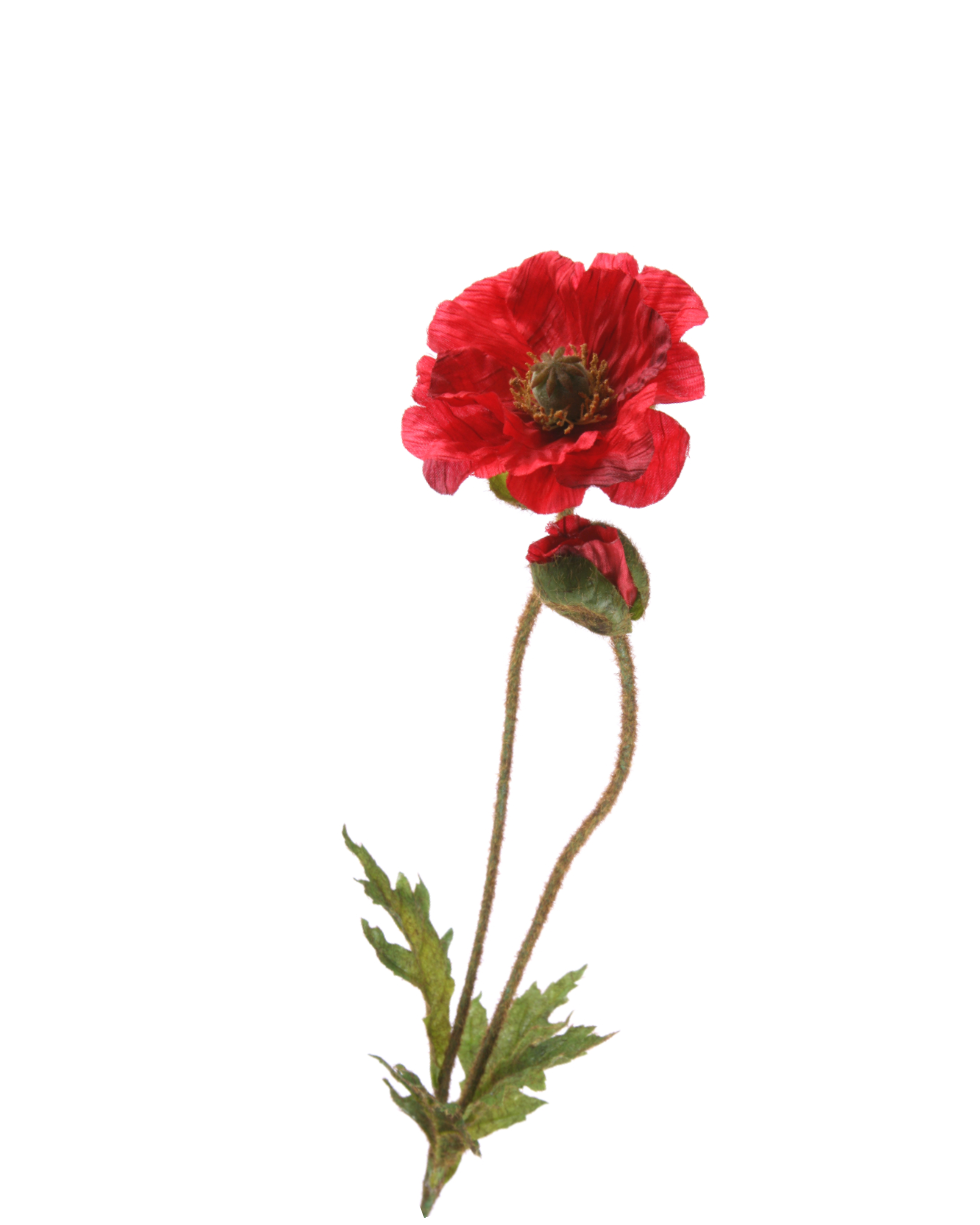 Mohnblume Realtouch Rot