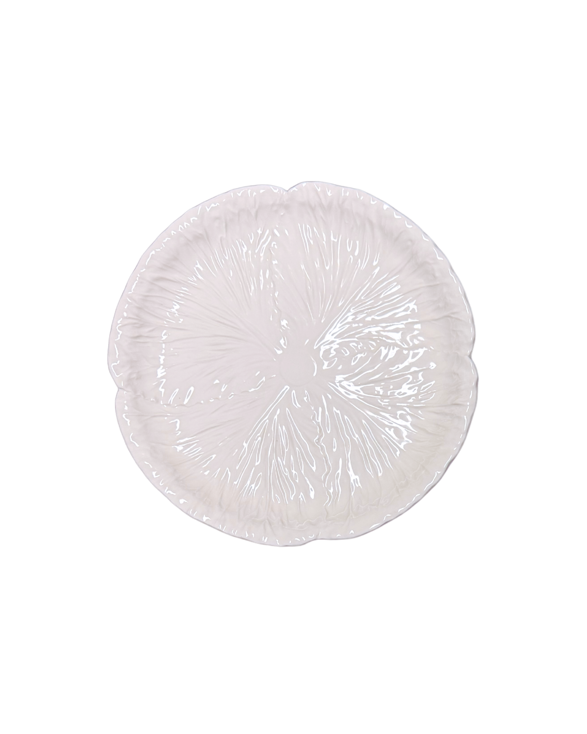 Radicchio Ceramic Salad Plate White (Set of 6)
