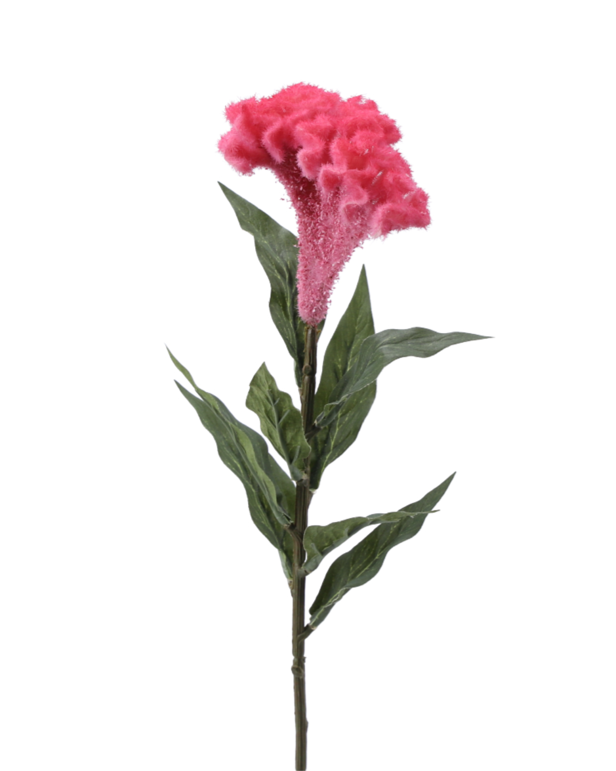 Hahnenkamm Realtouch Pink