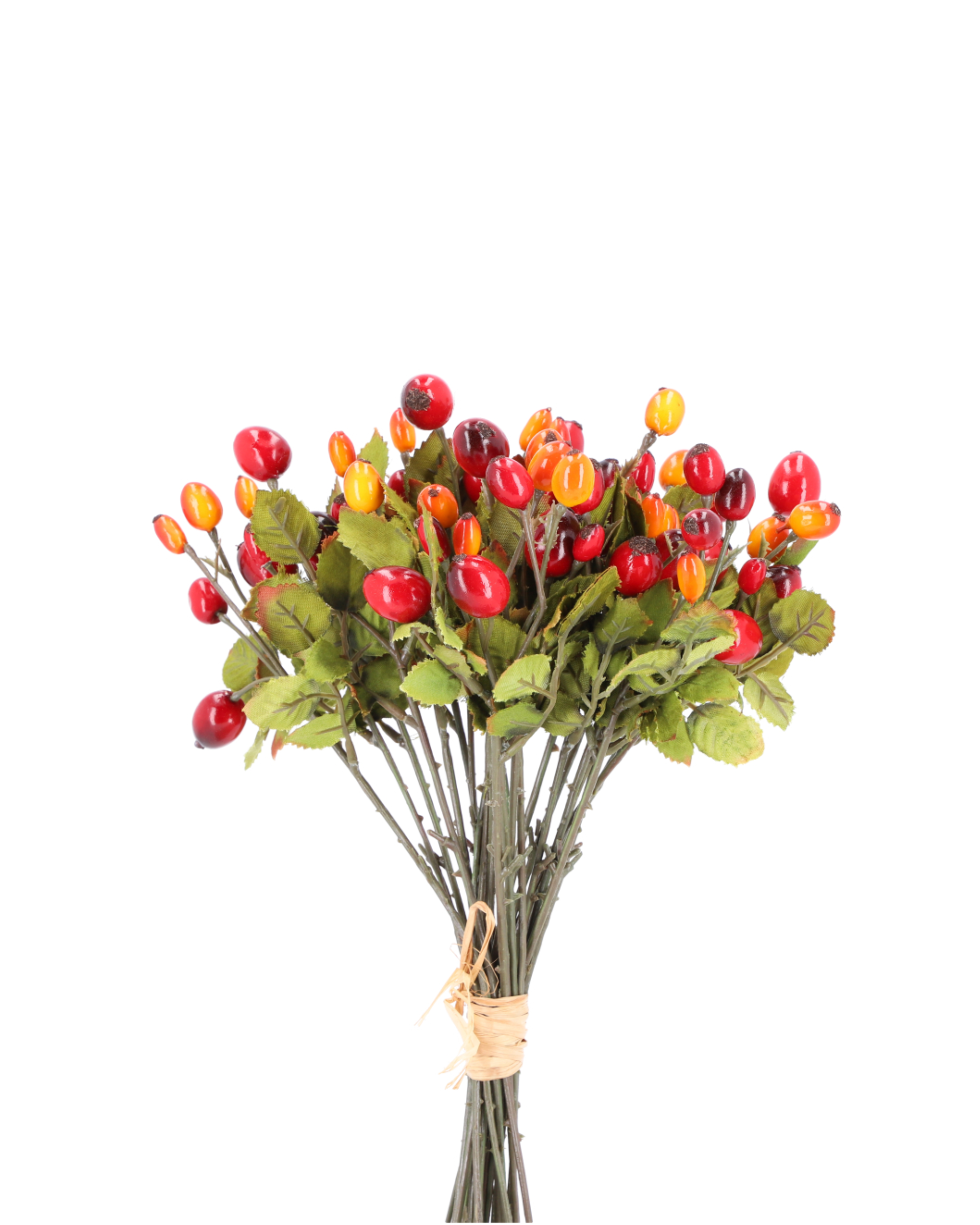 Hagebutten Bund (24 Stems) Red Orange