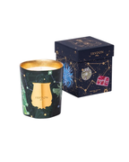 Trudon Duftkerze Fir mit Verpackung