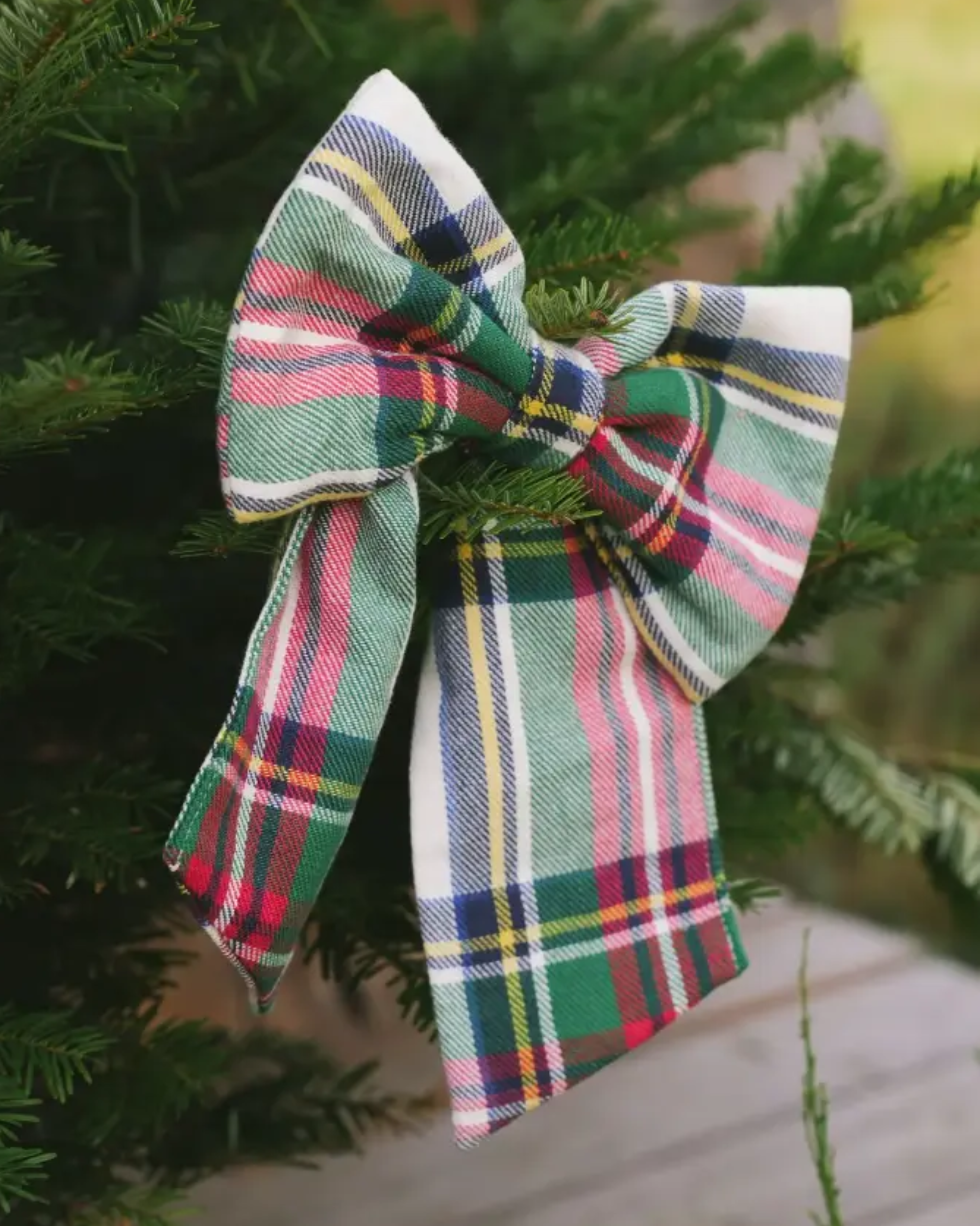 Schleifen Highland Snow