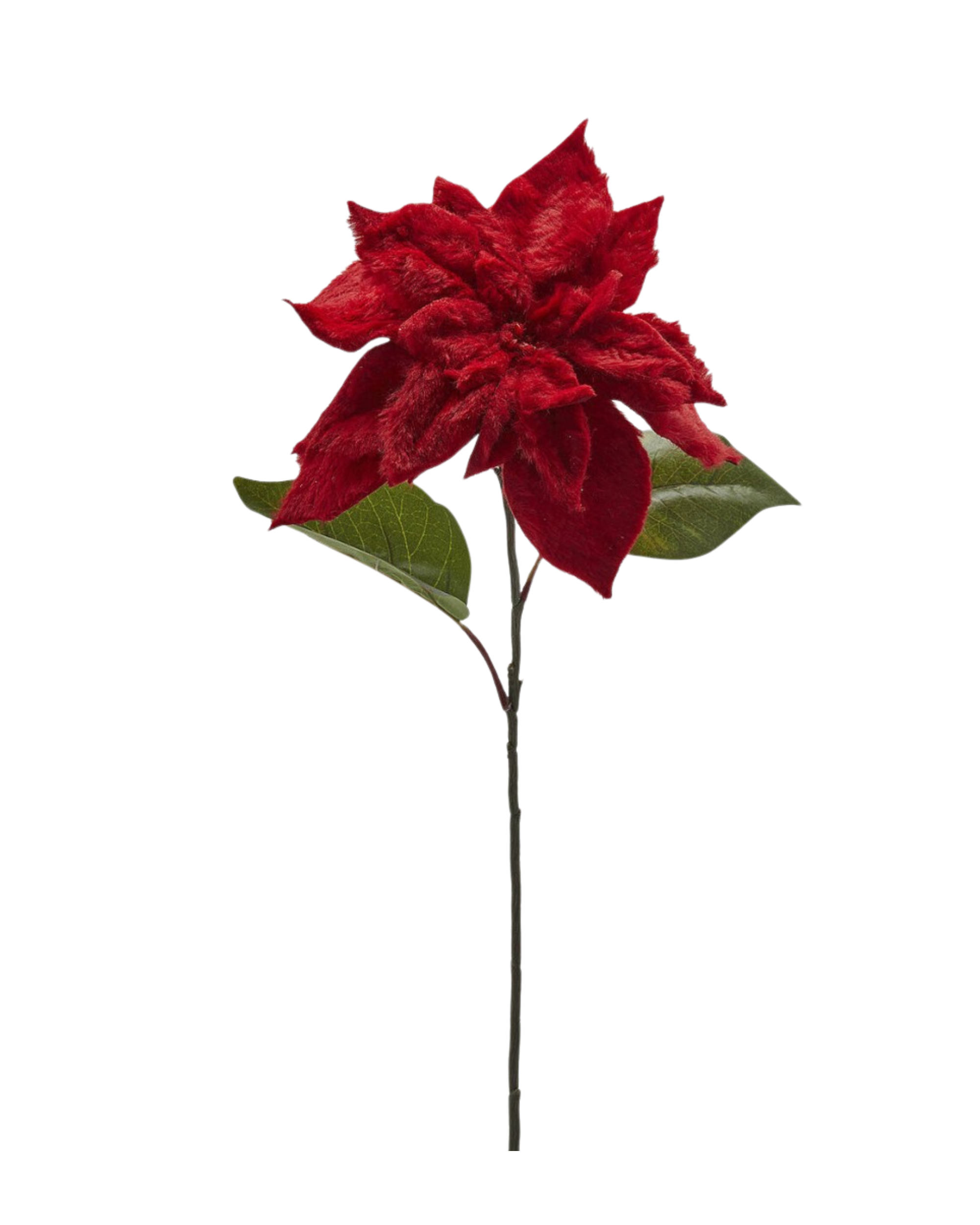 Furry Christmas Star Red