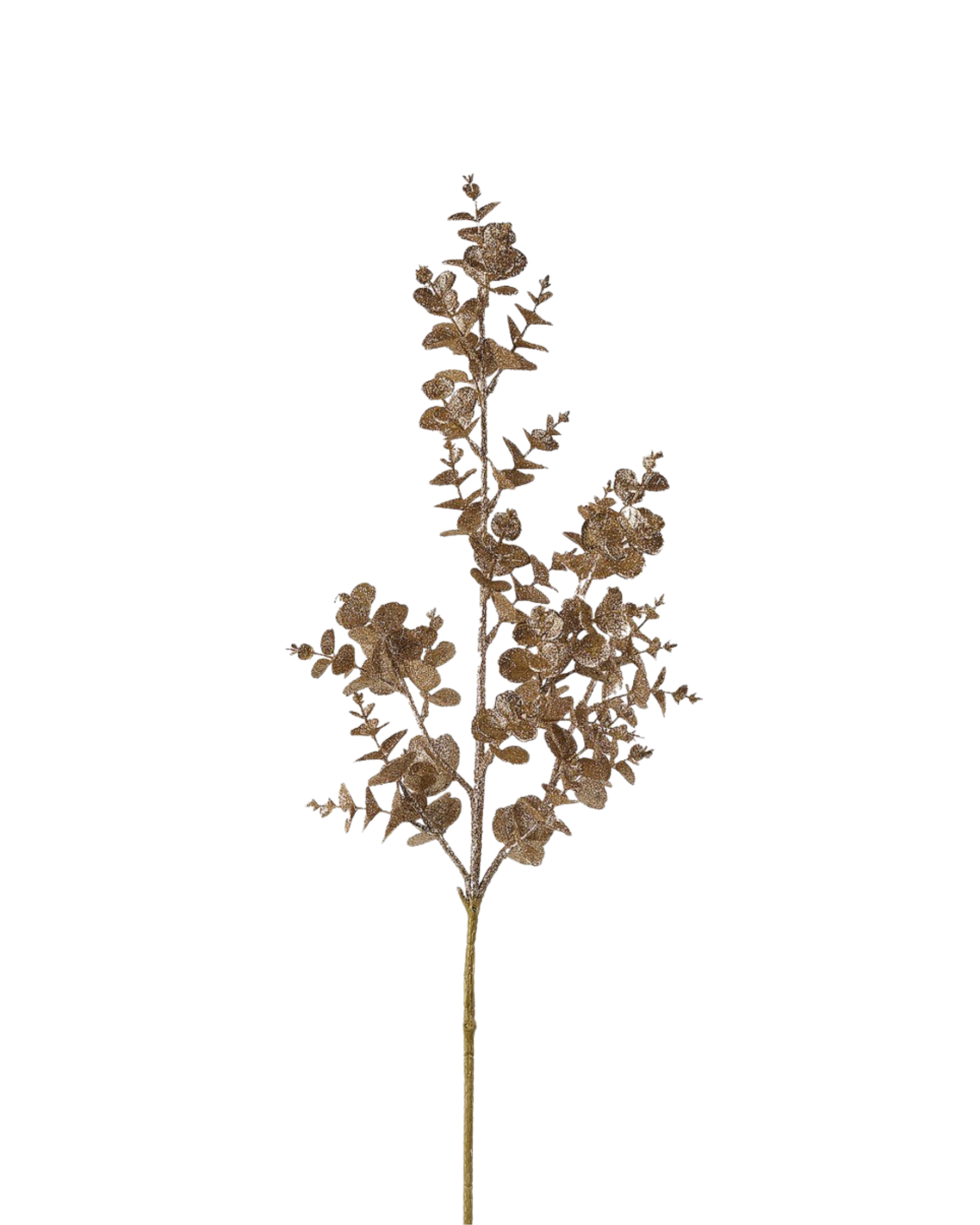 Eukalyptus Zweig Gold