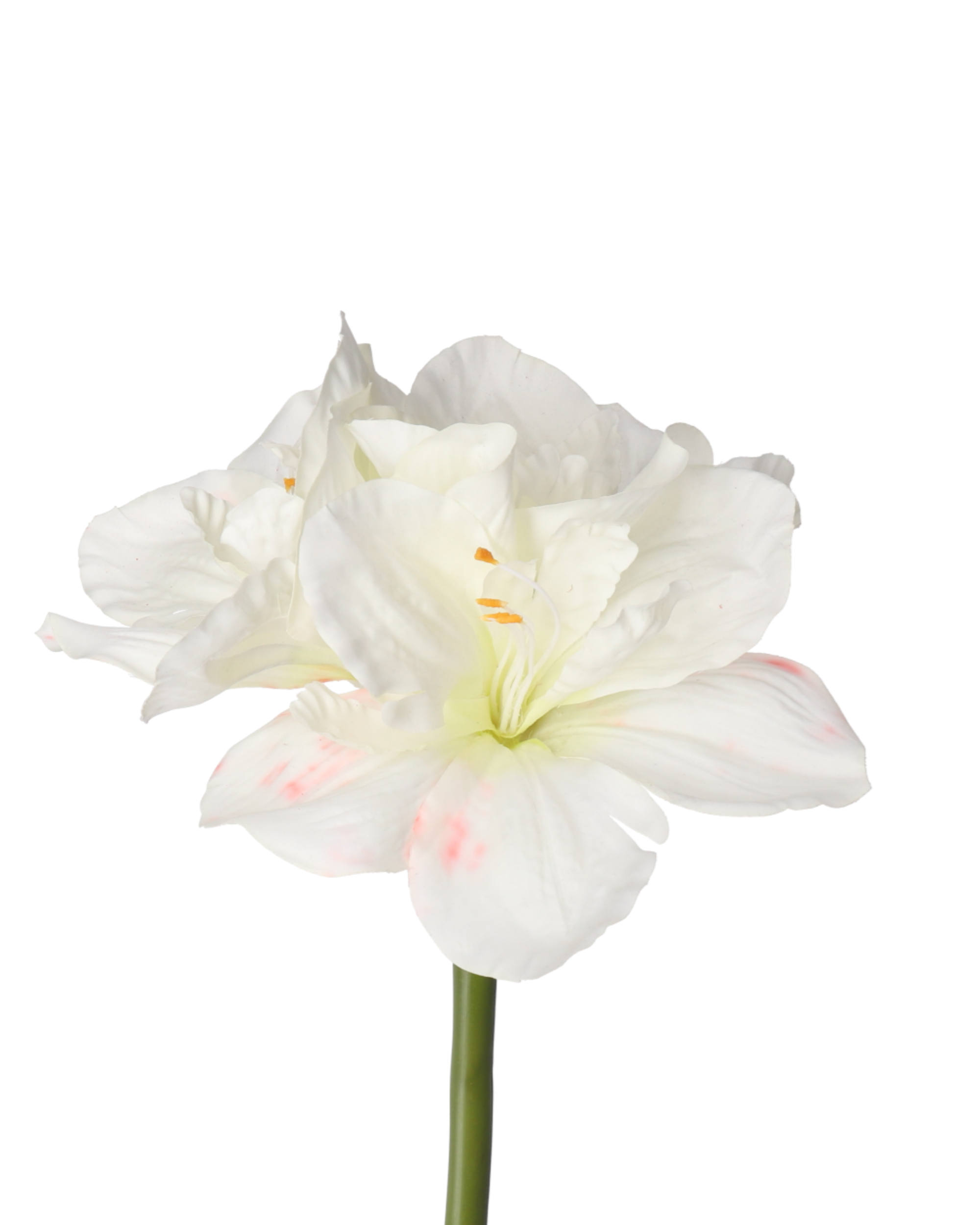 Amaryllis Realtouch White