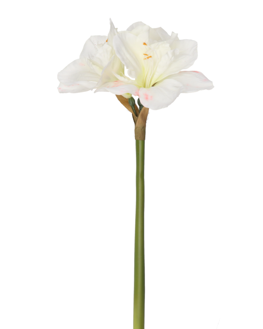 Amaryllis Realtouch White