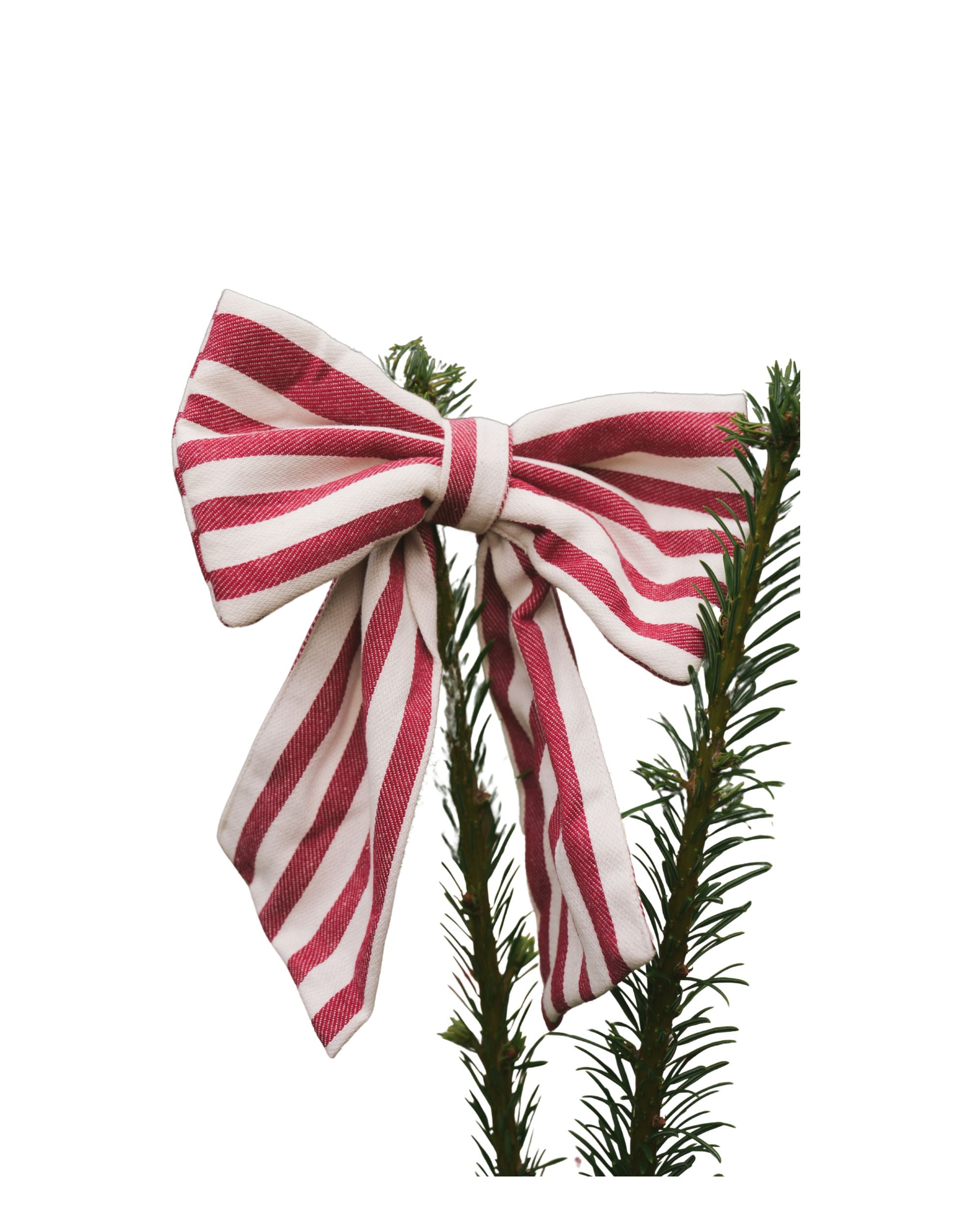 Schleife Noëline – Burgundy