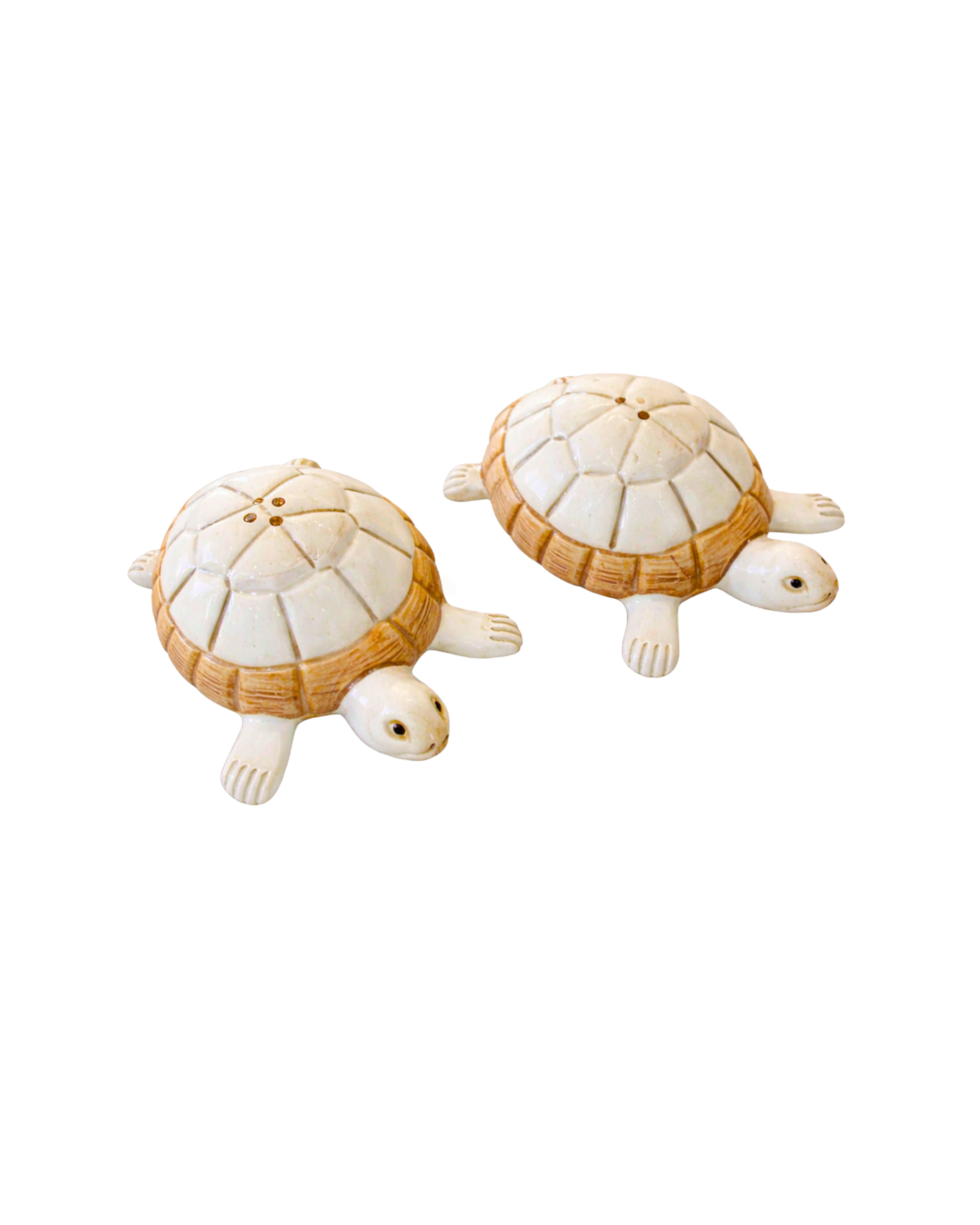 Hand-painted ceramic salt and pepper set with turtle design