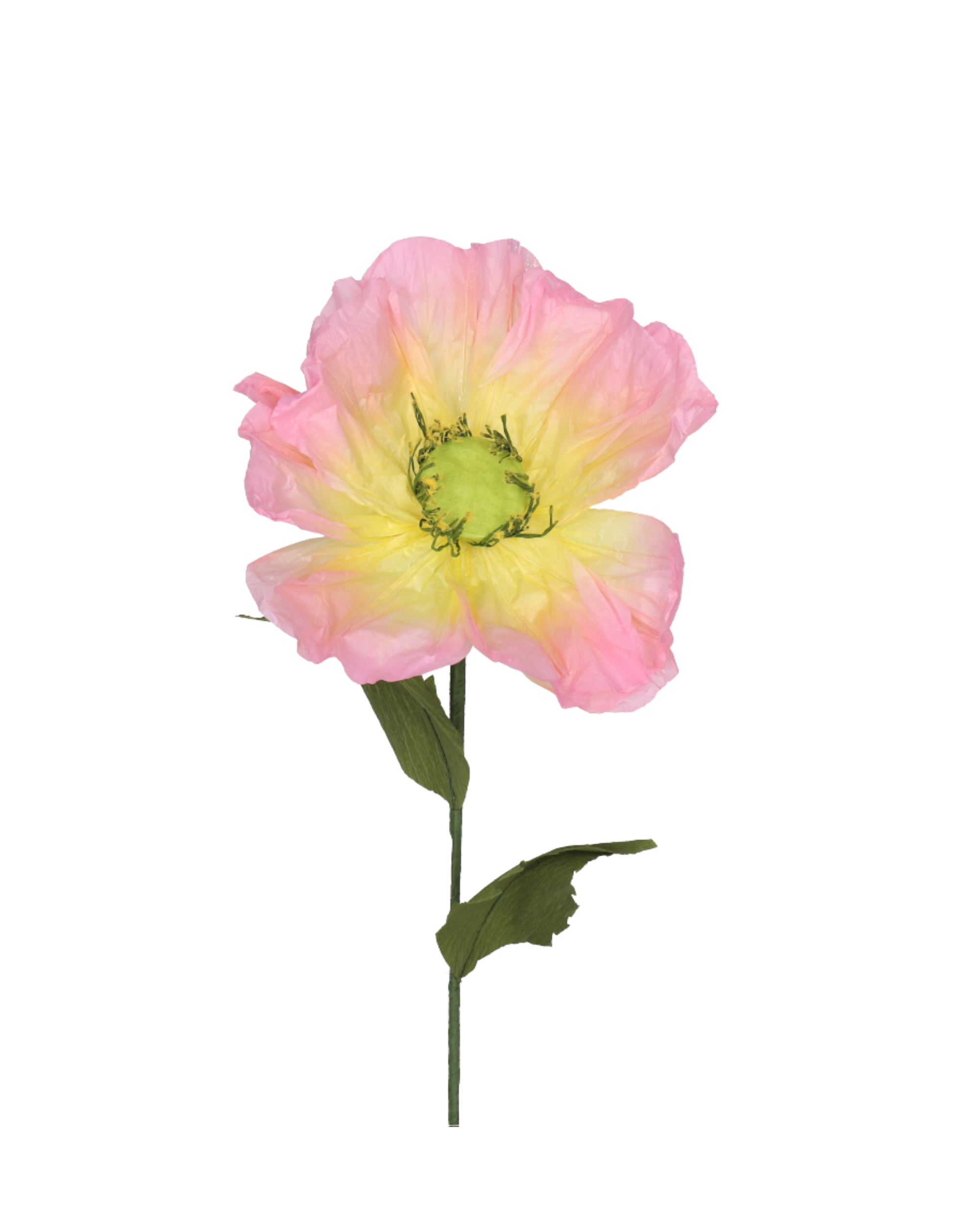 Papier Mohnblume Rosa Medium