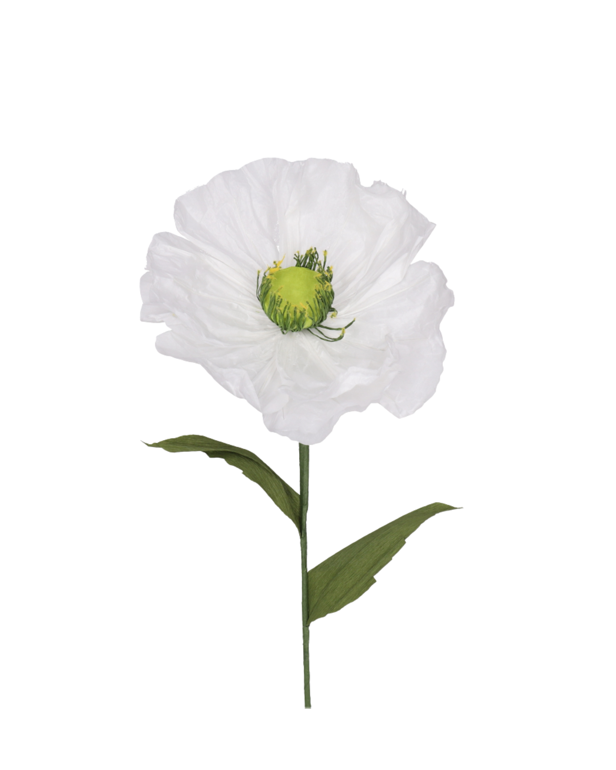 Papier Mohnblume Weiß Medium