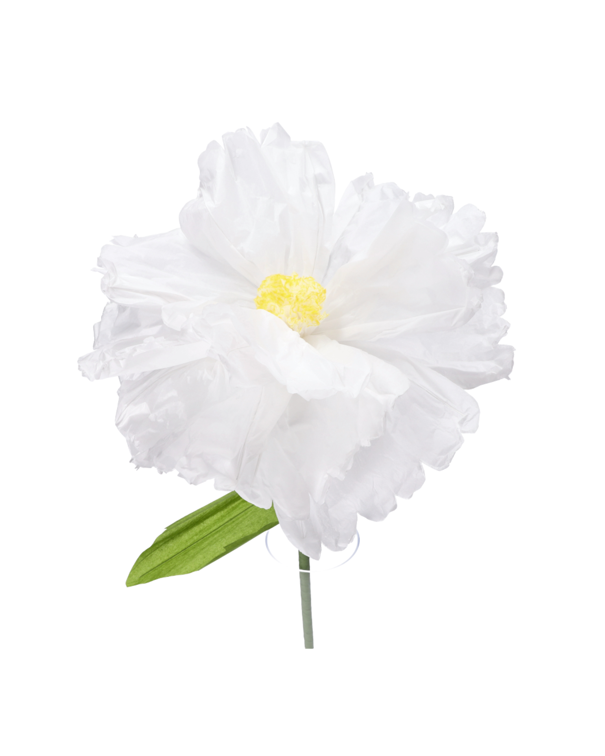 Papierblume Weiß XL