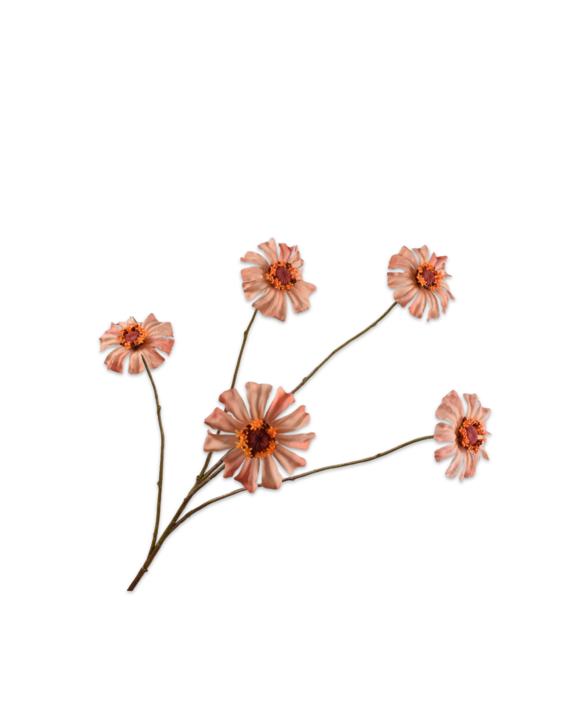 Zinnia Zweig Realtouch Lachs