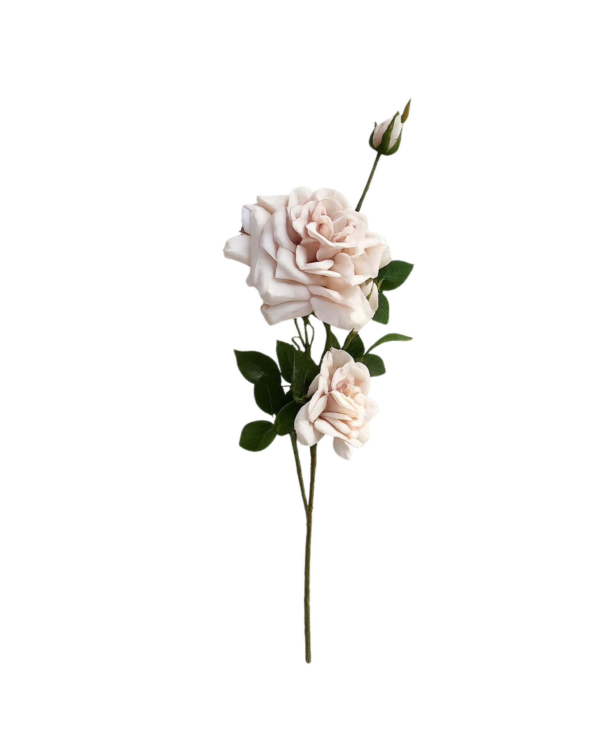 Realtouch Rose Cream-Rosa