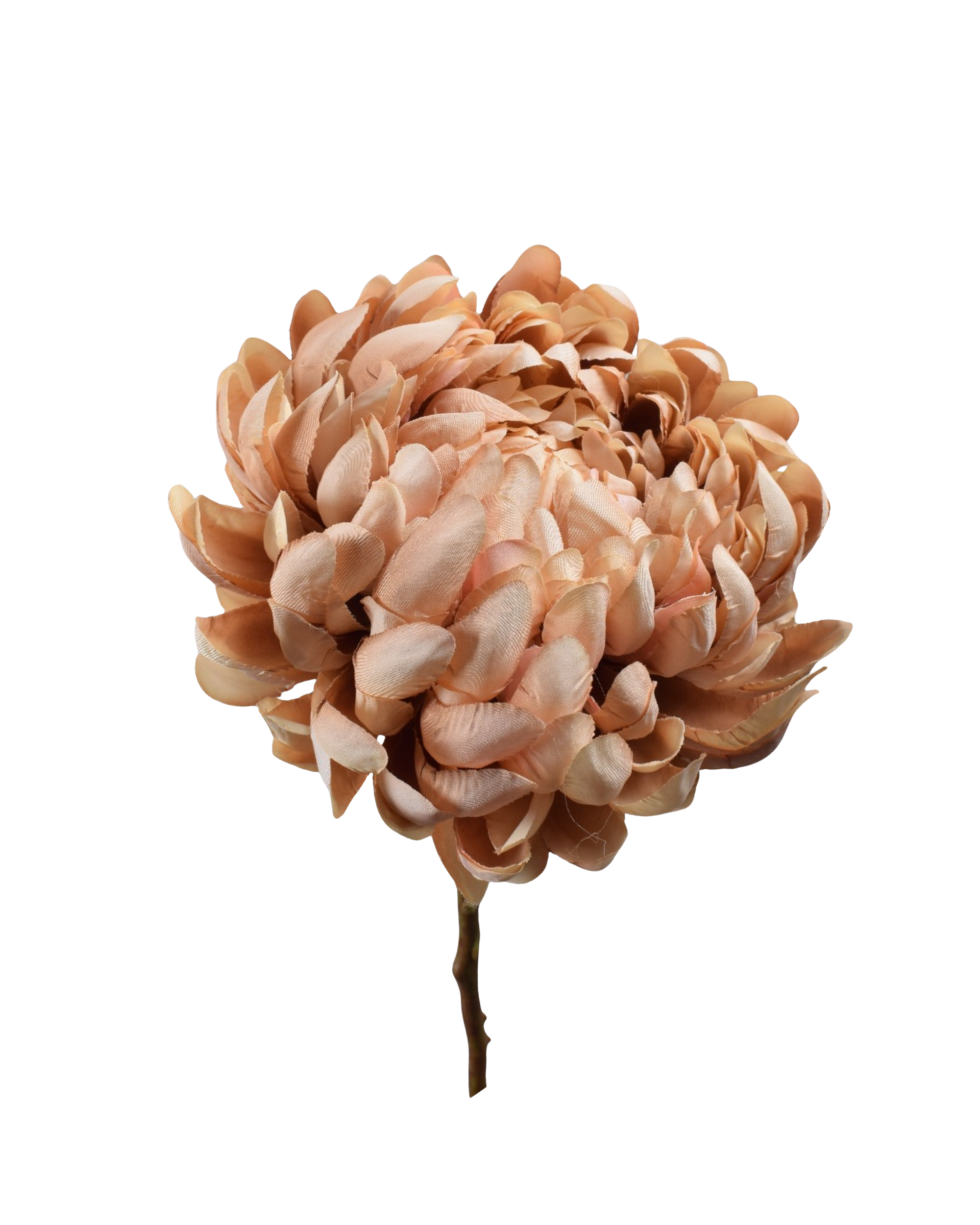 Realtouch Chrysantheme Cream Mauve