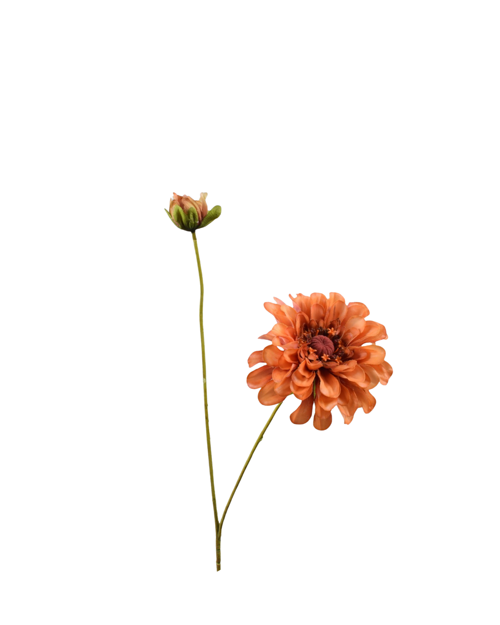 Realtouch Zinnien Orange
