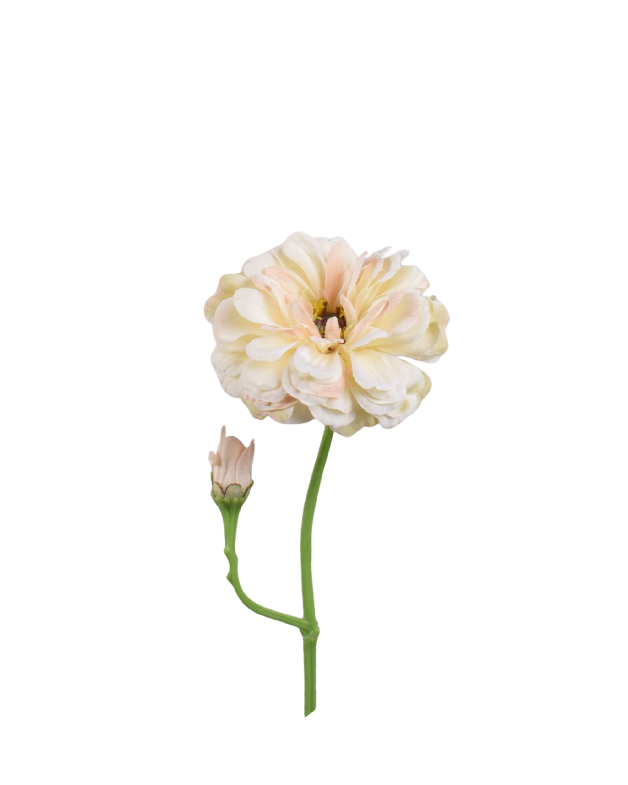 Realtouch Zinnien Cream