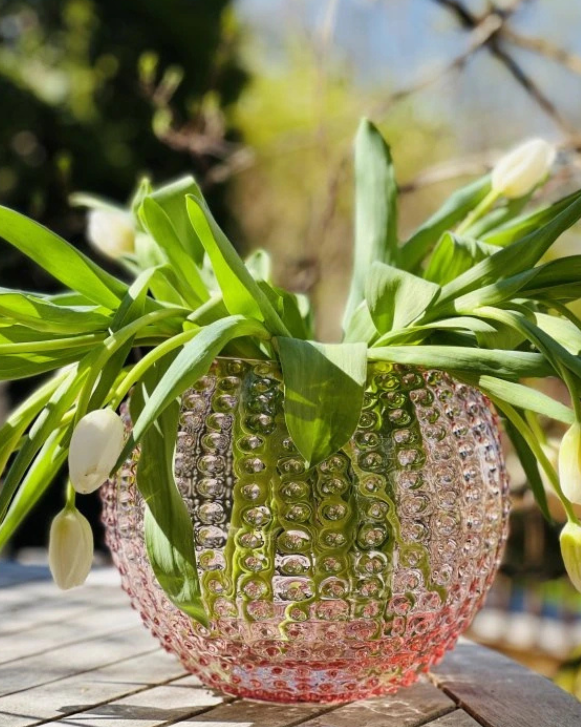 Anna von Lipa Hobail Globe Vase Rosa 24 cm
