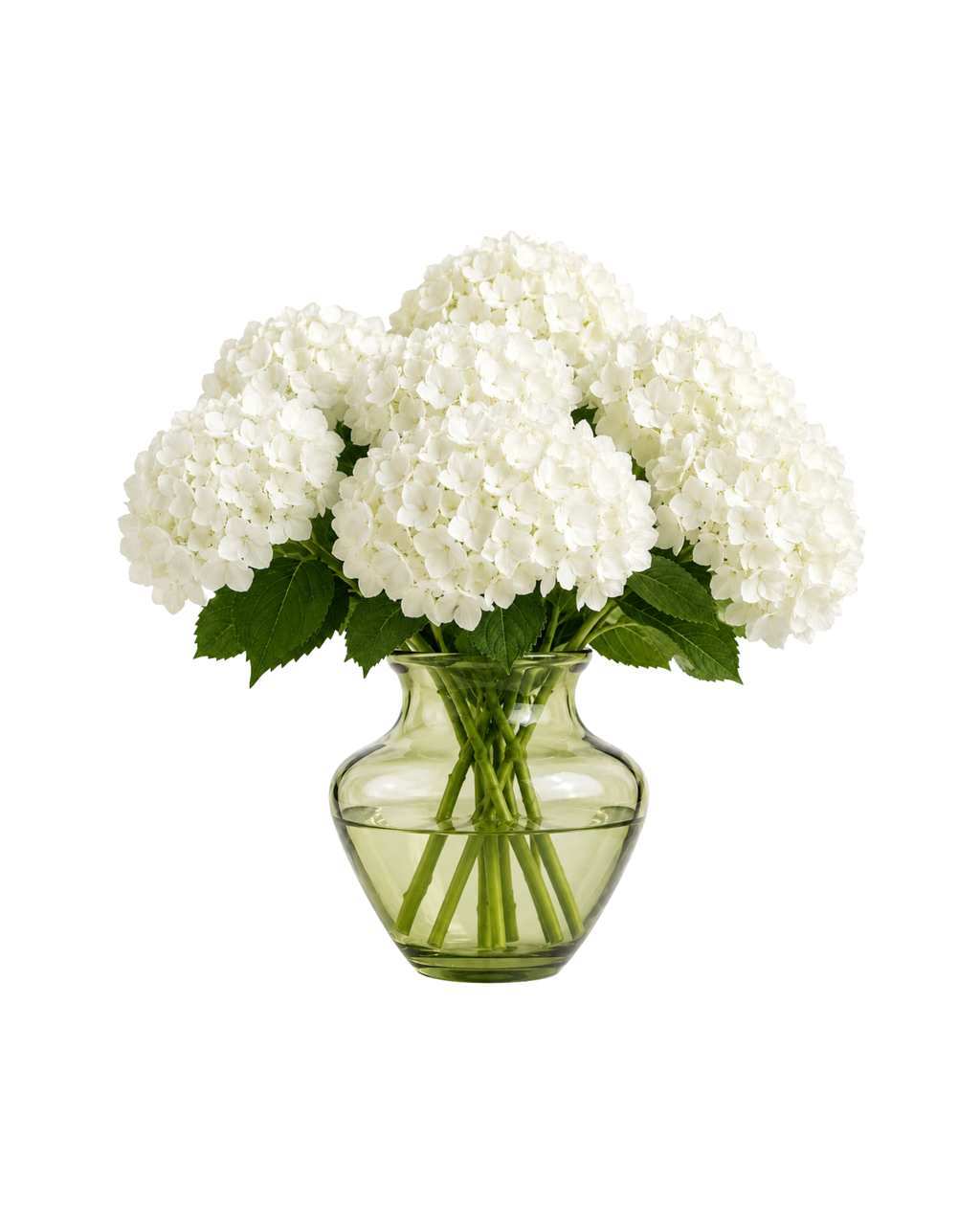 Anna von Lipa Dahlia Vase Olivegreen 22cm