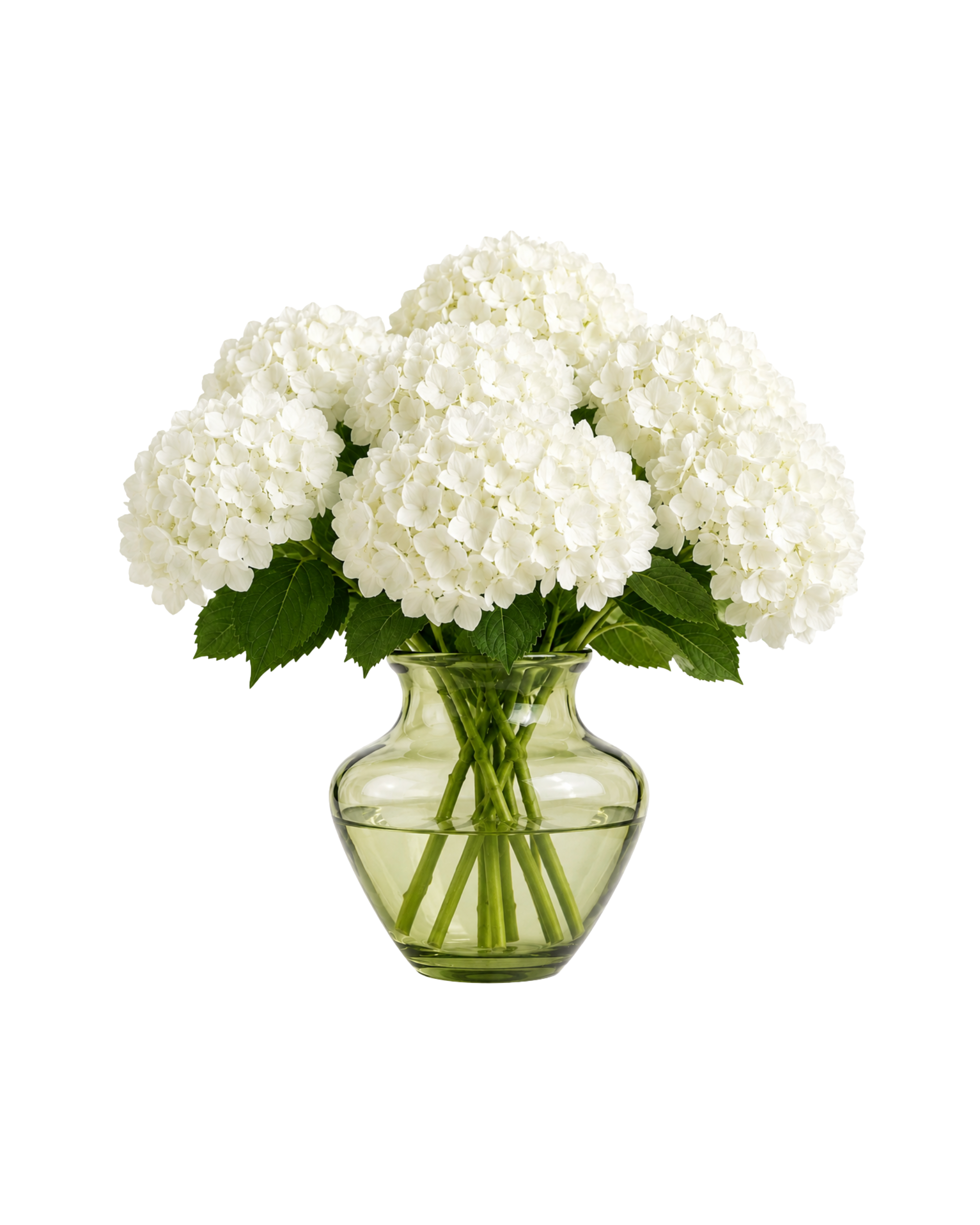 Anna von Lipa Dahlia Vase Olivegreen 22cm
