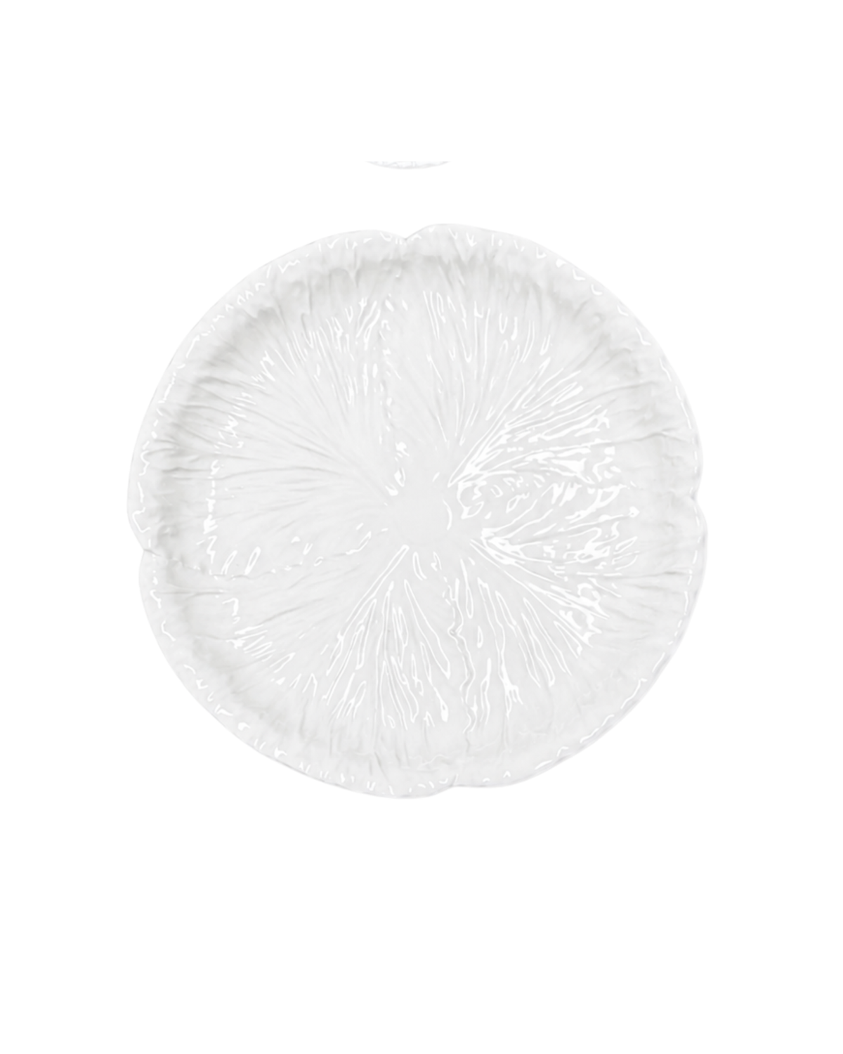 Keramik Speiseteller Radicchio Weiß, 4er Set – Table Desires